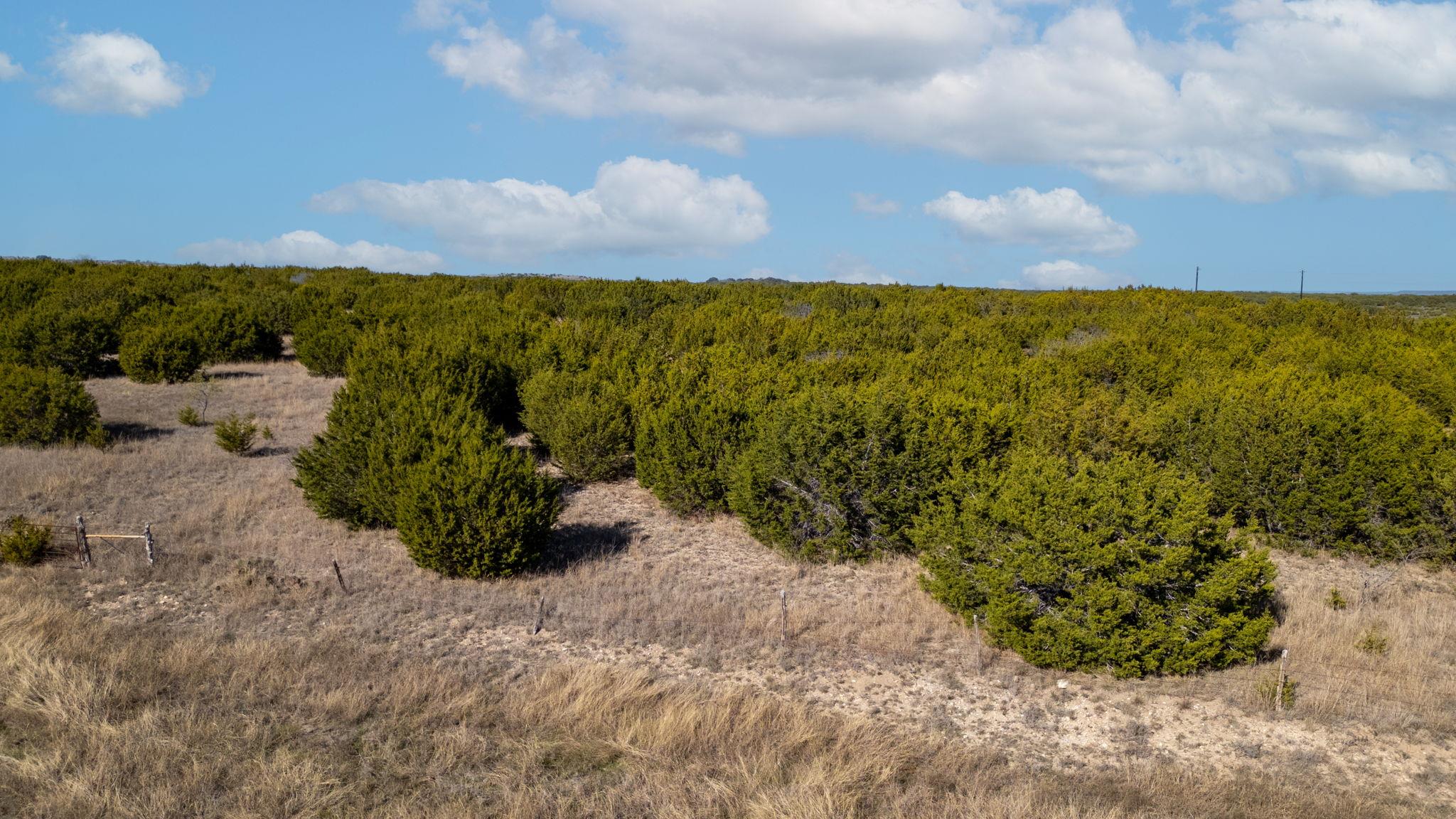 TBD CR 2315, Lampasas, TX 76550