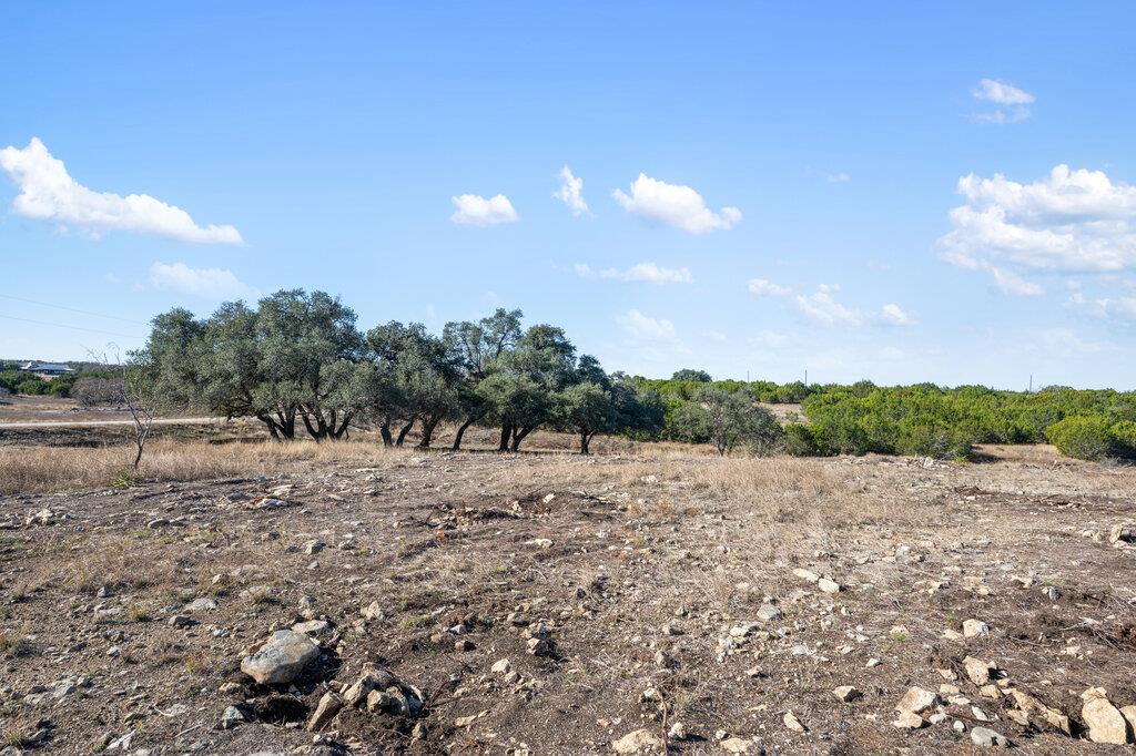 166 Whispering Wind Rd, Bertram, TX 78605