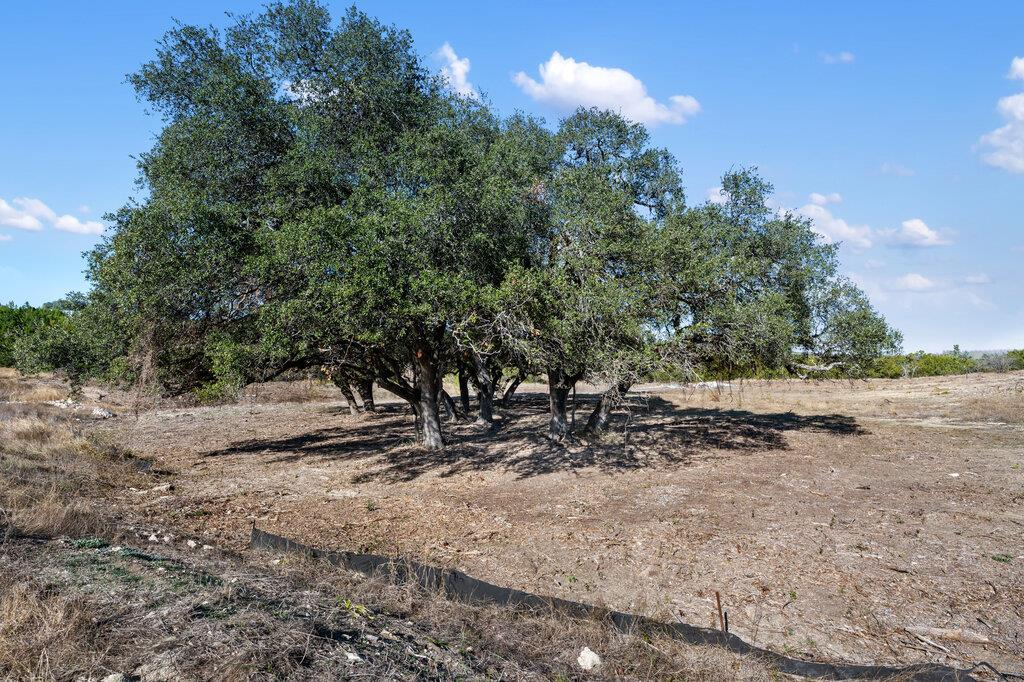 166 Whispering Wind Rd, Bertram, TX 78605