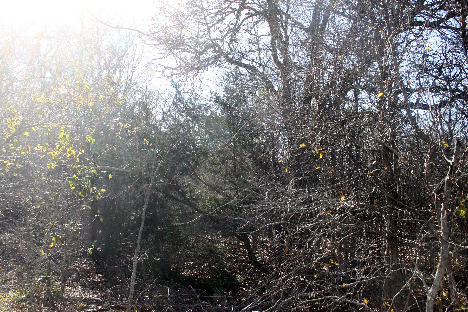 100 Track Road Highway, Dale, TX 78616