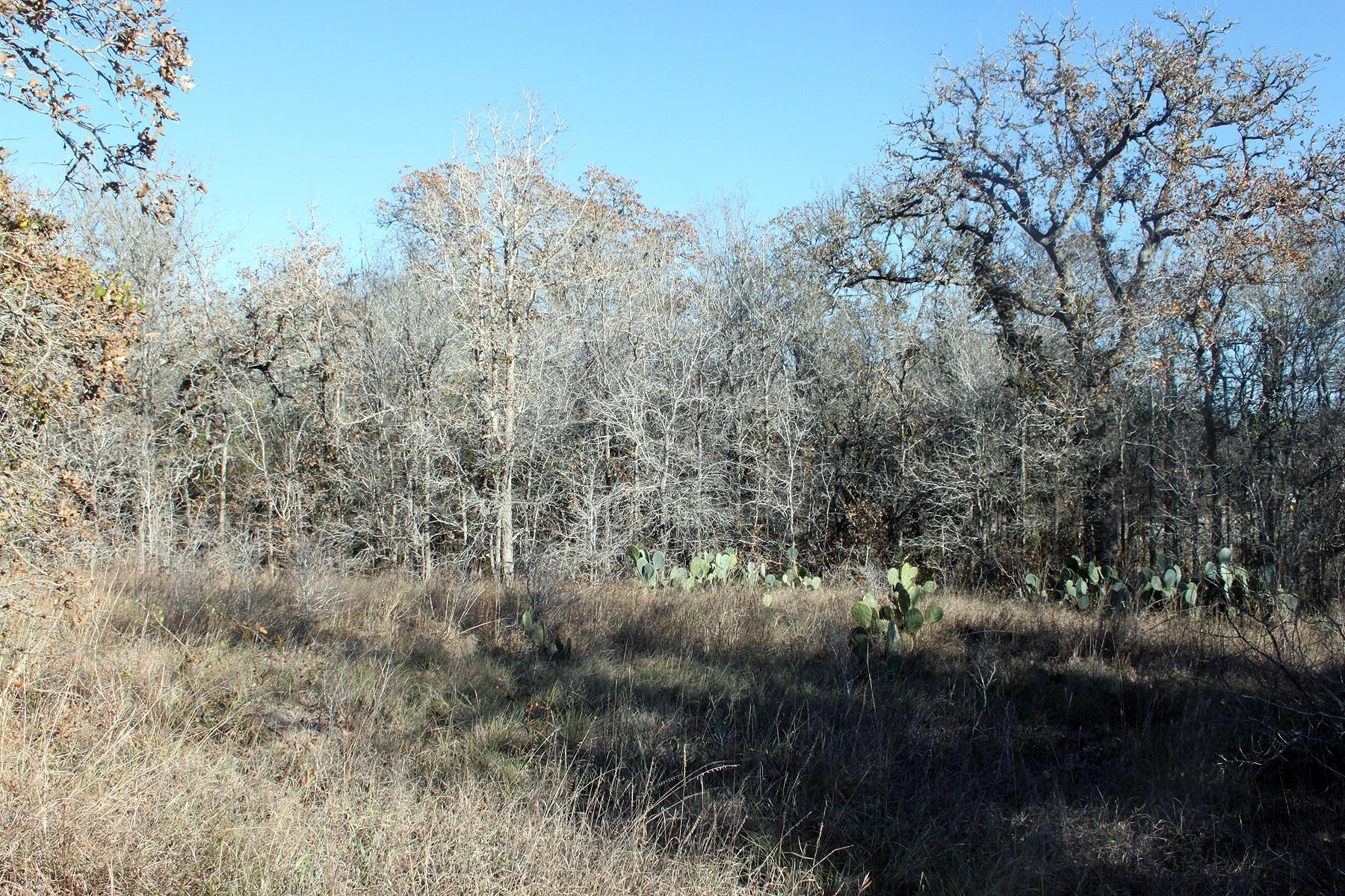 100 Track Road Highway, Dale, TX 78616