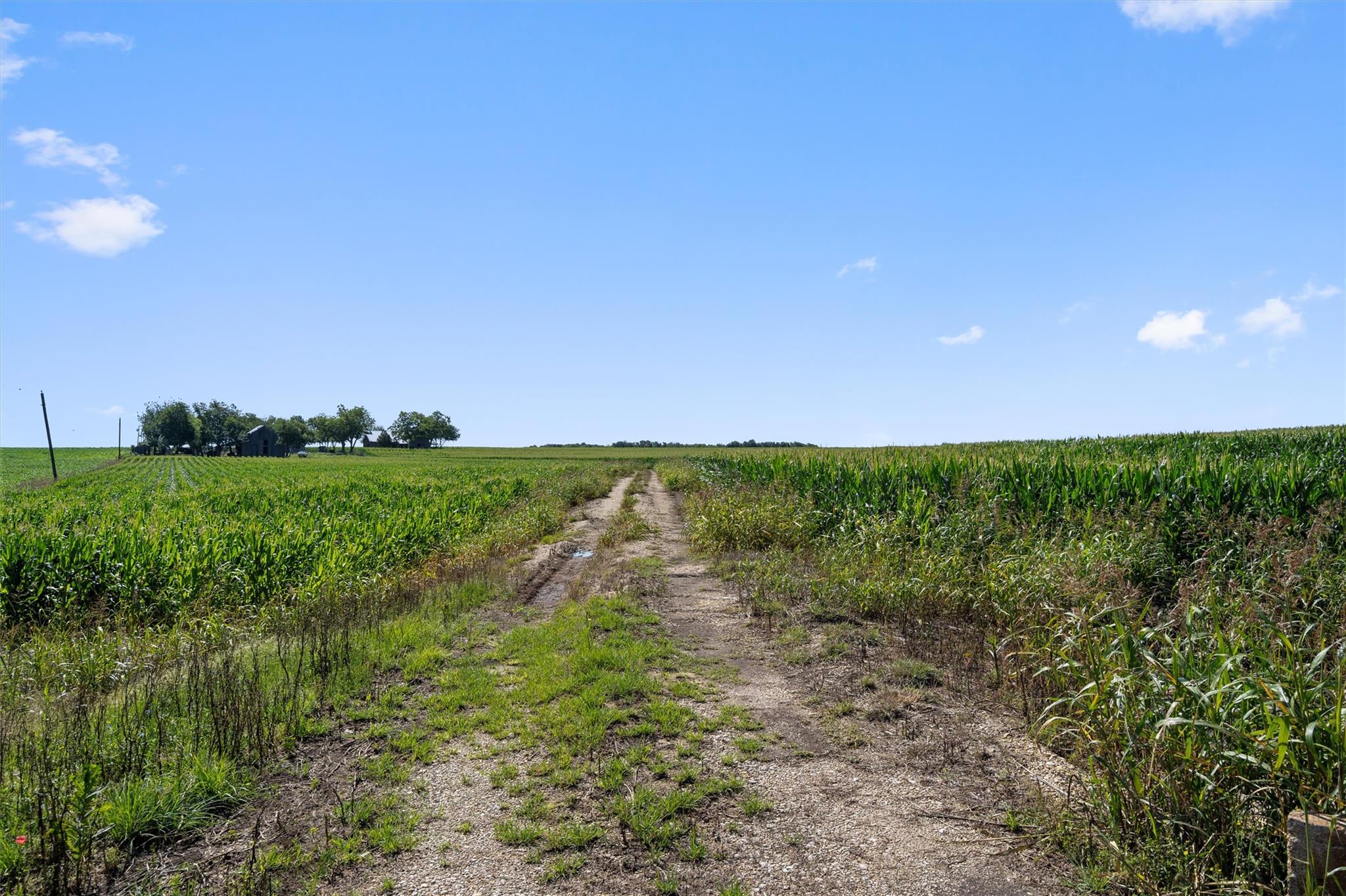 1701 County Road 424, Taylor, TX 76574