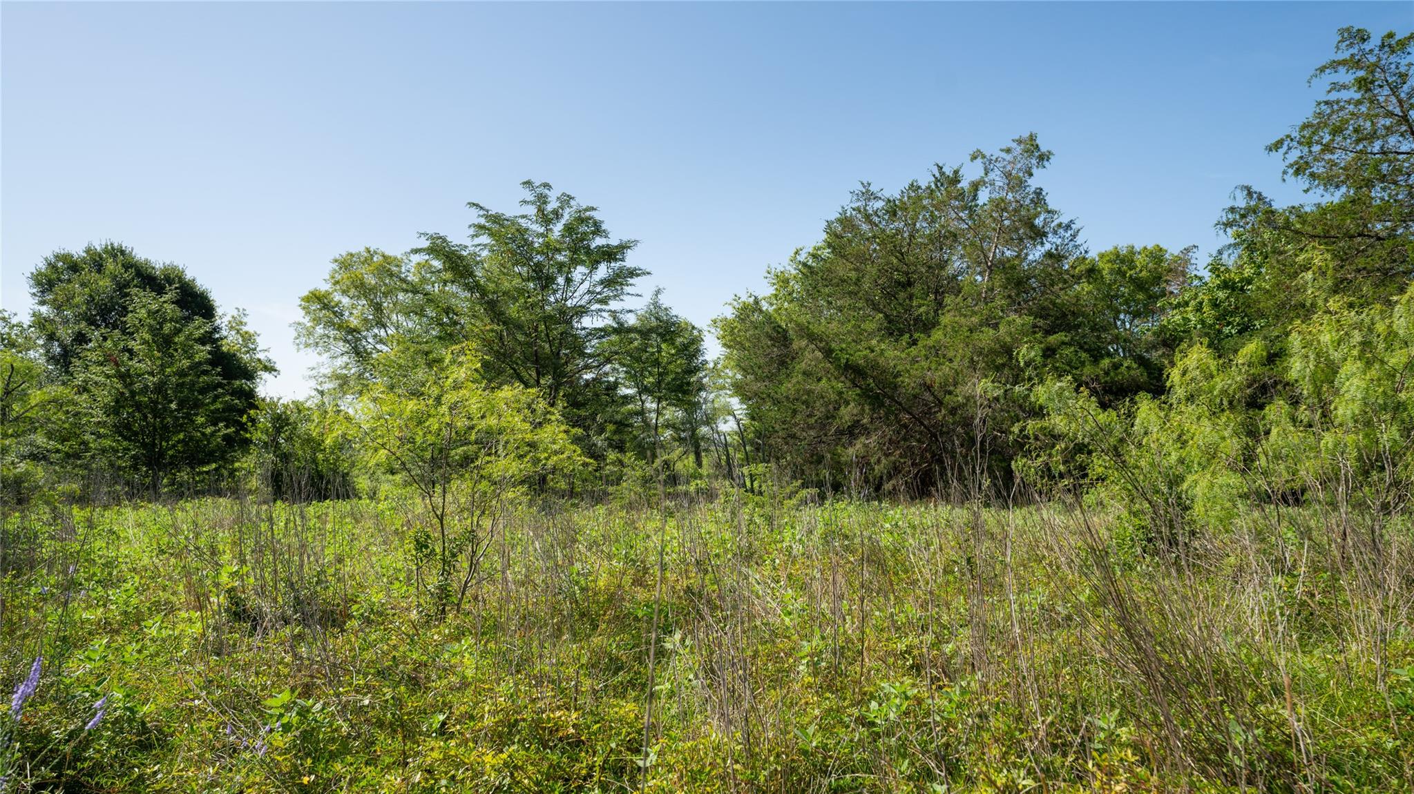 000 TBD, Cameron, TX 76511