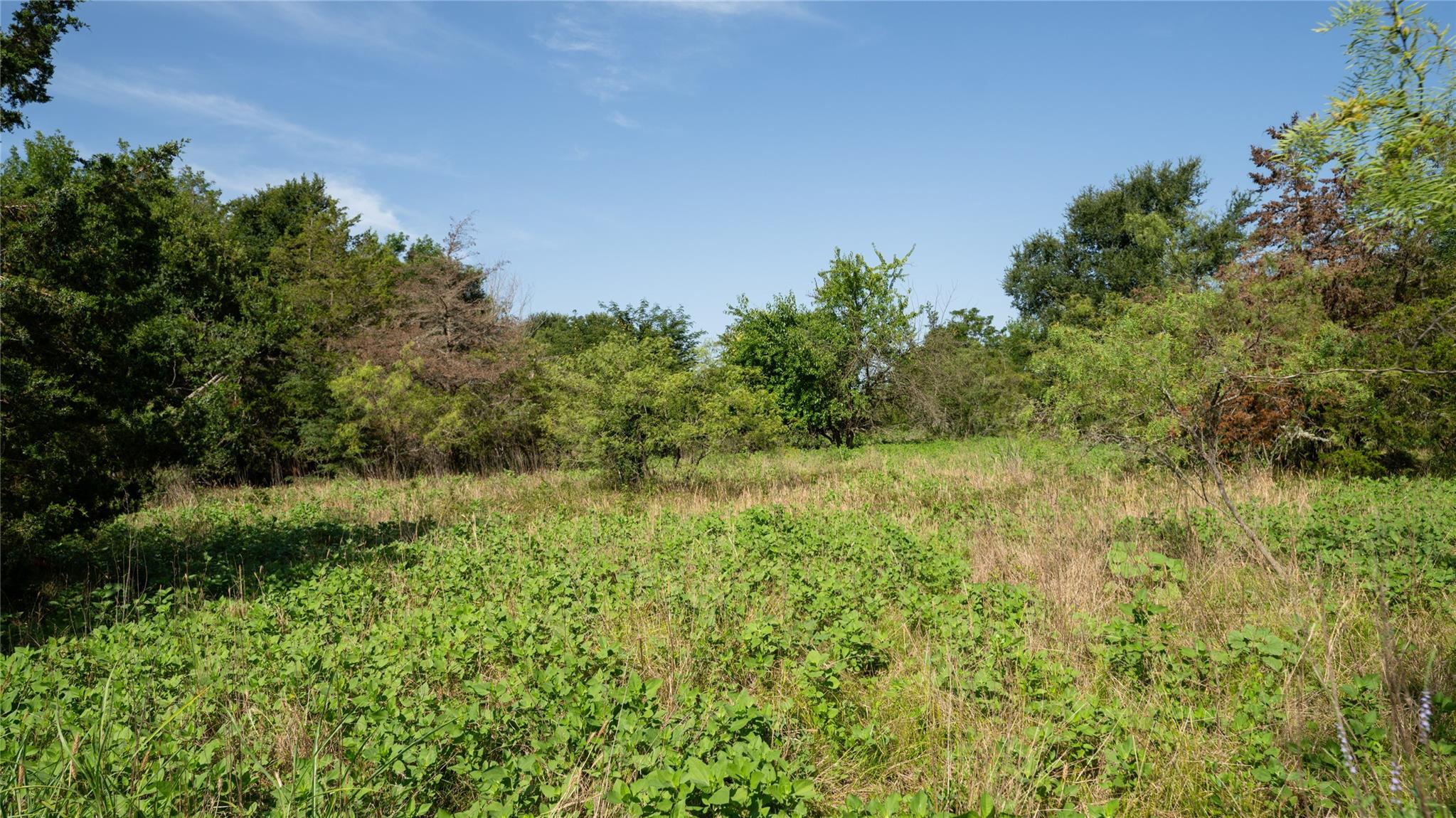 000 TBD, Cameron, TX 76511