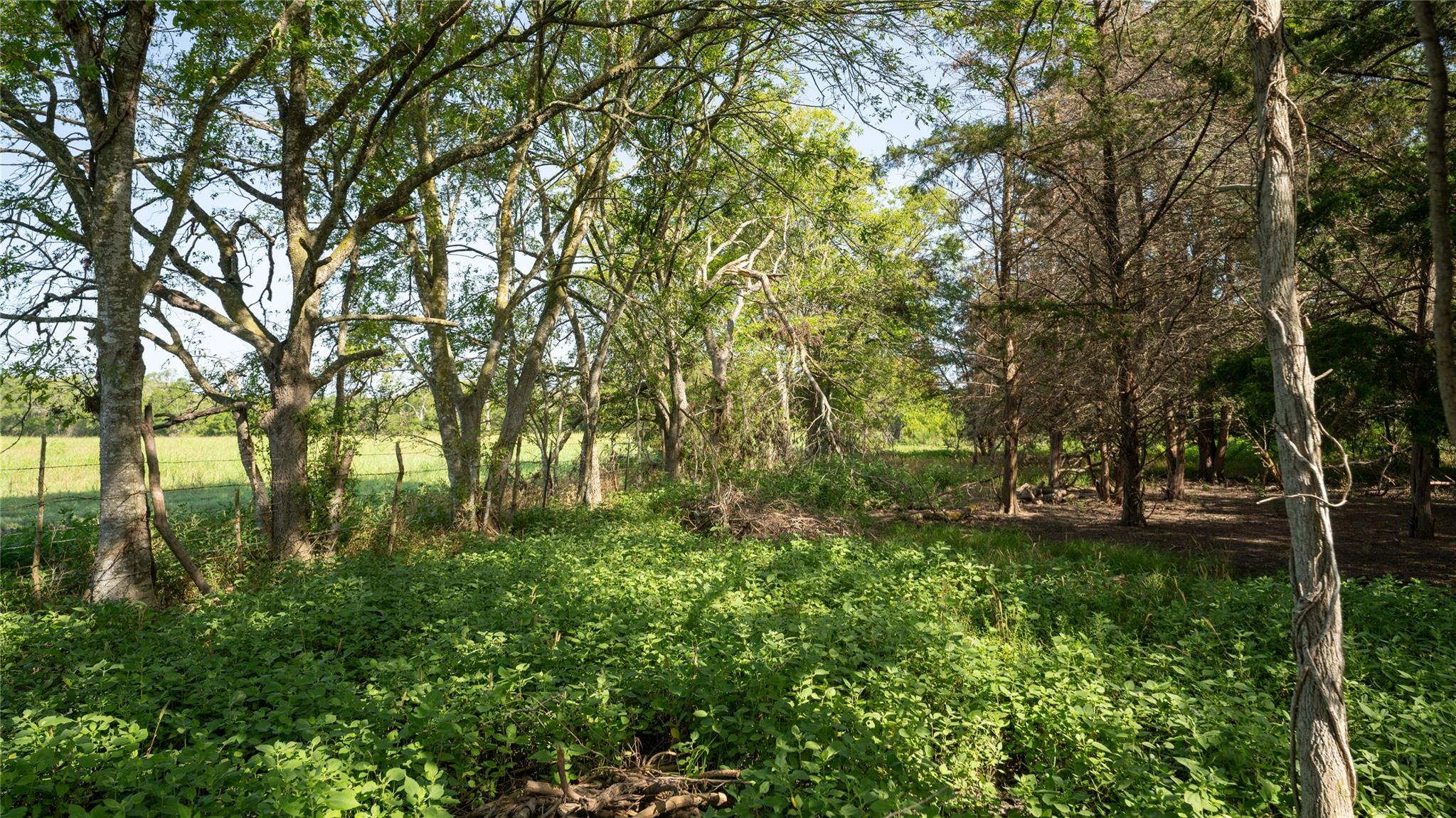 000 TBD, Cameron, TX 76511