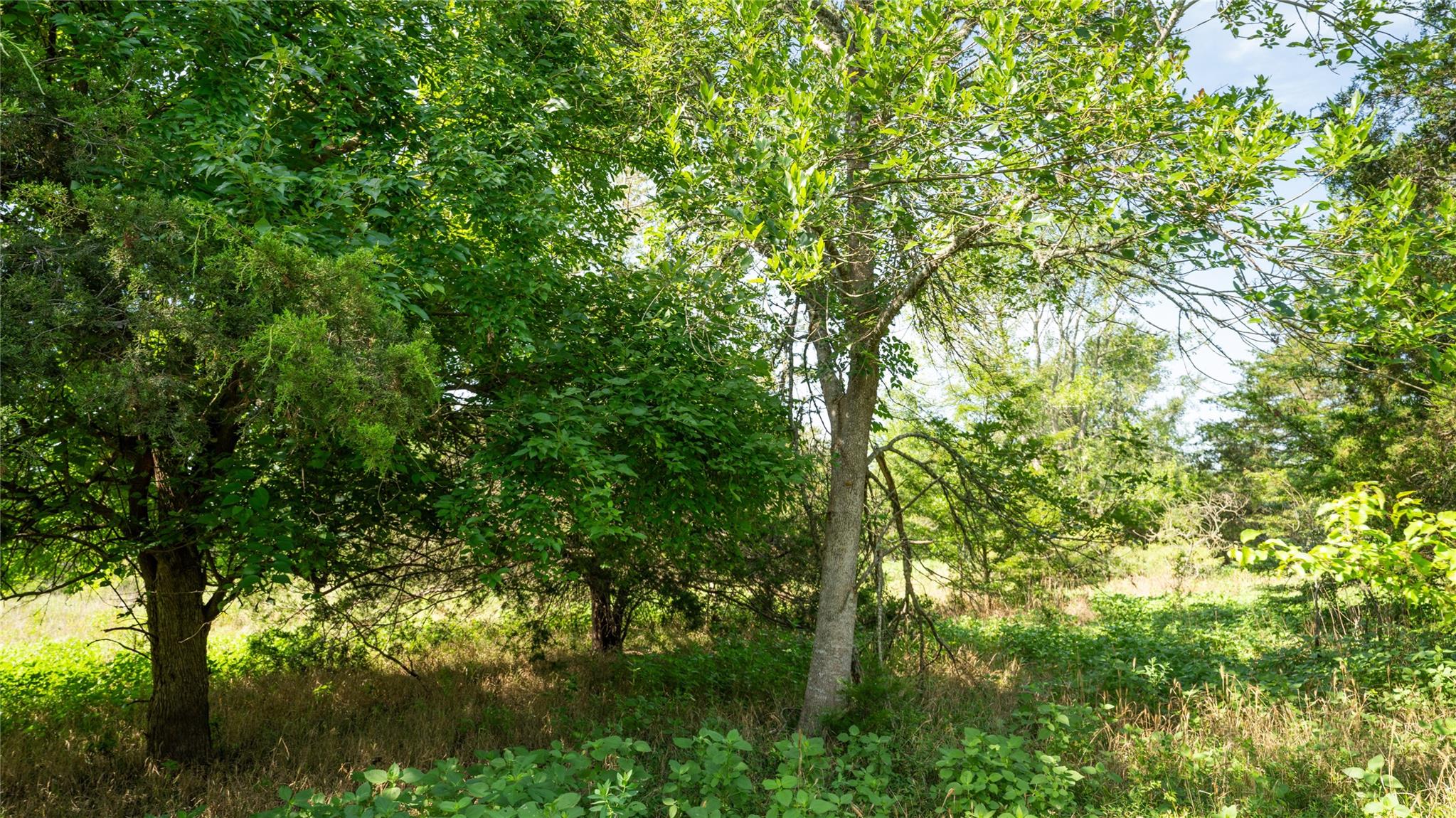 000 TBD, Cameron, TX 76511