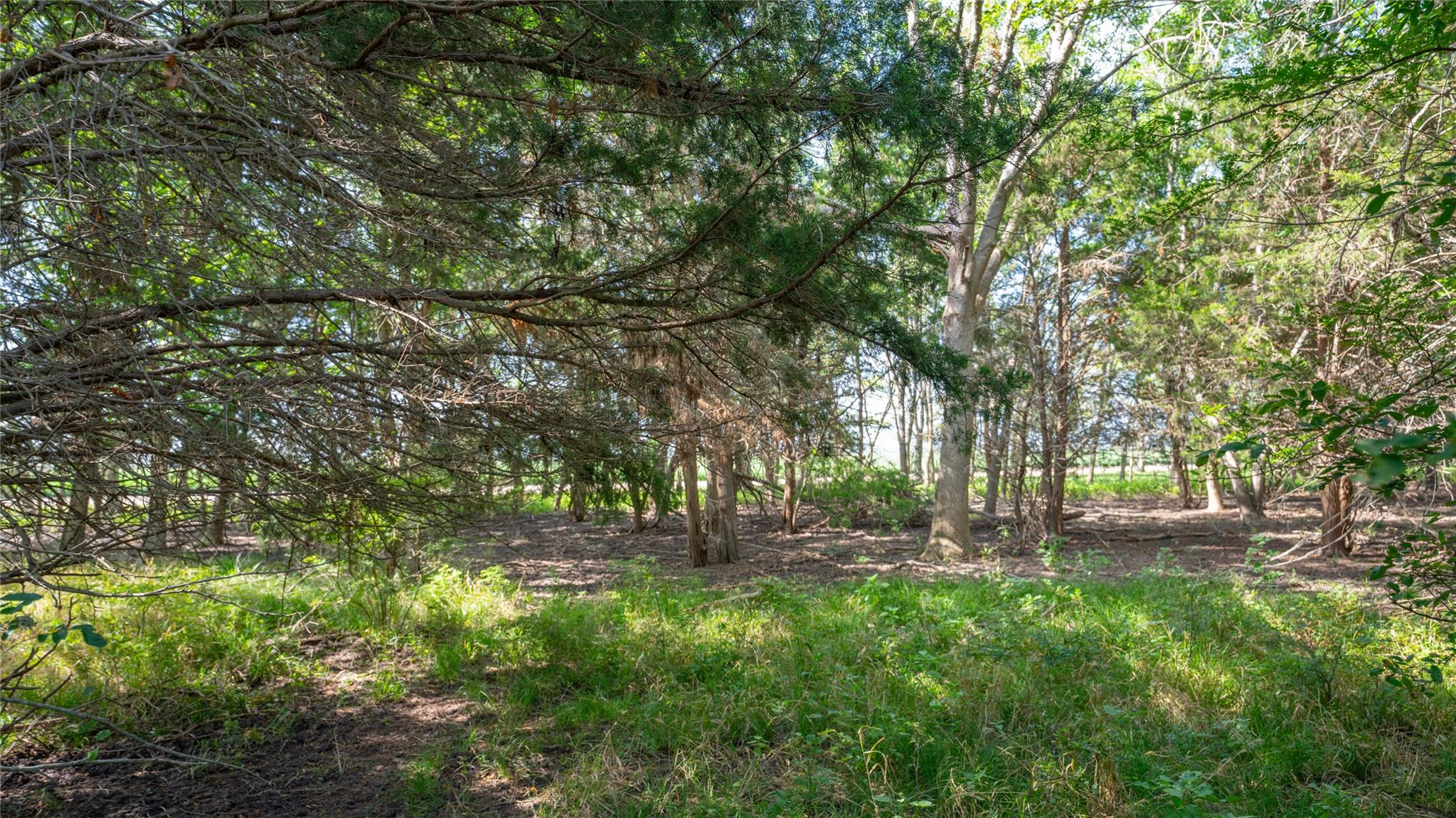 000 TBD, Cameron, TX 76511