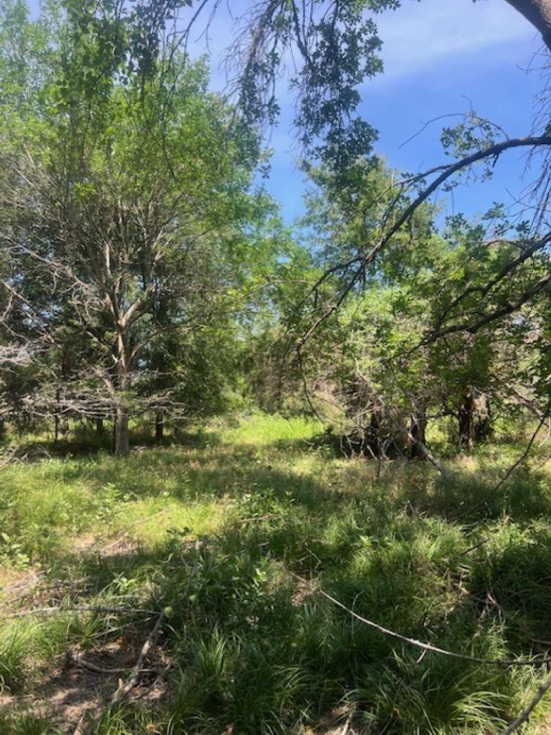 000 TBD, Cameron, TX 76511