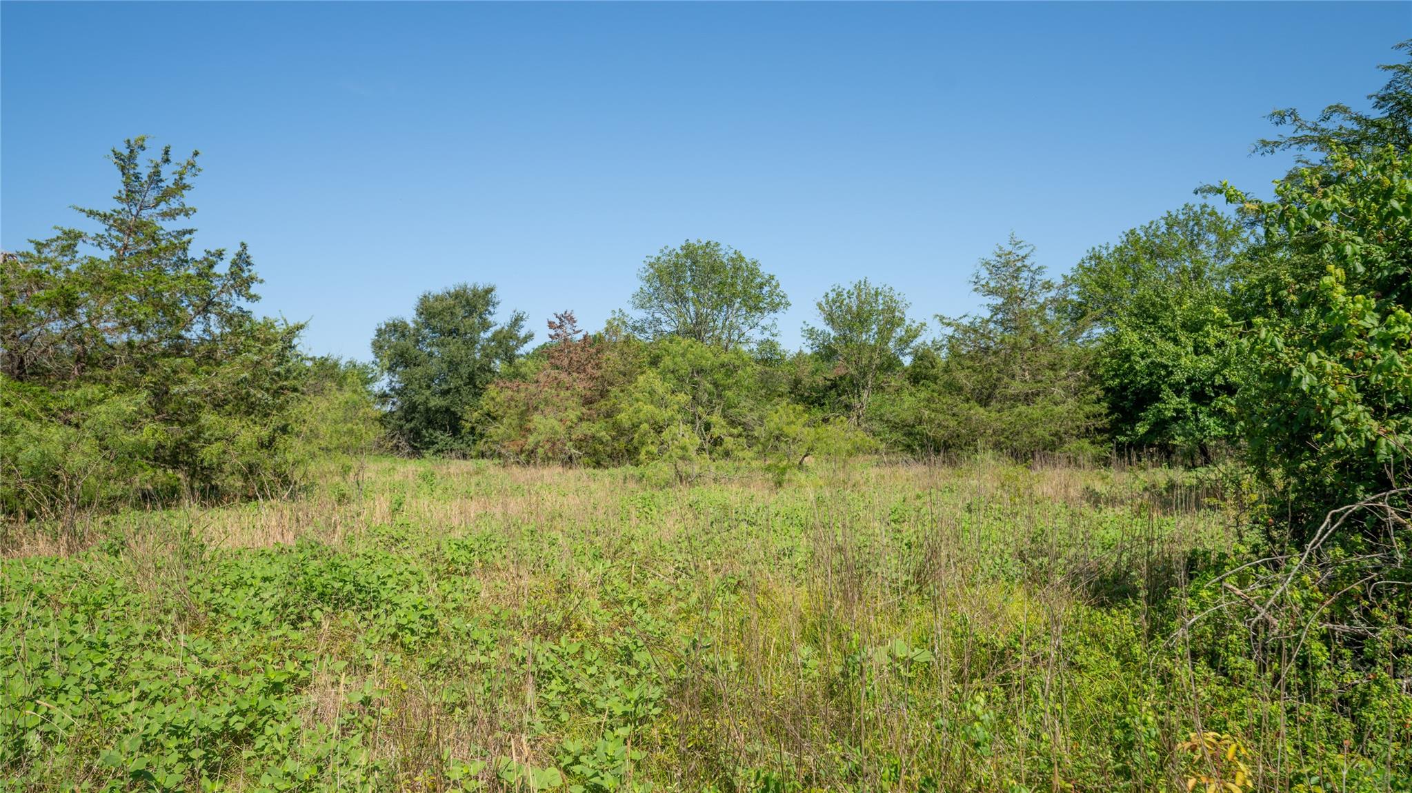 000 TBD, Cameron, TX 76511