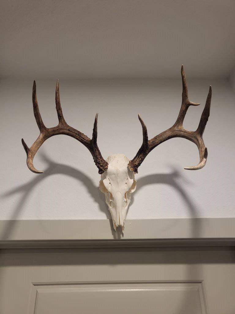 000 TBD, Cameron, TX 76511