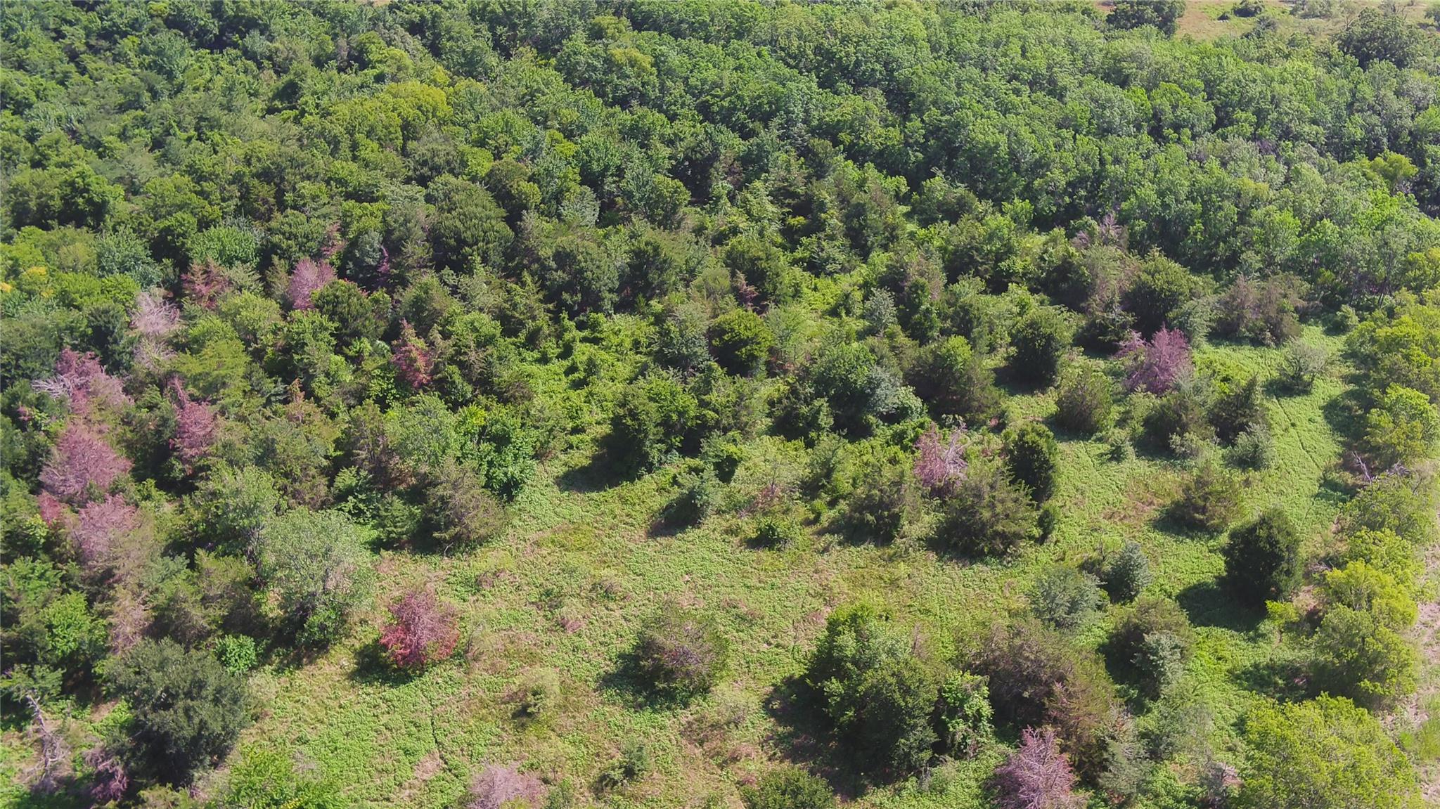 000 TBD, Cameron, TX 76511