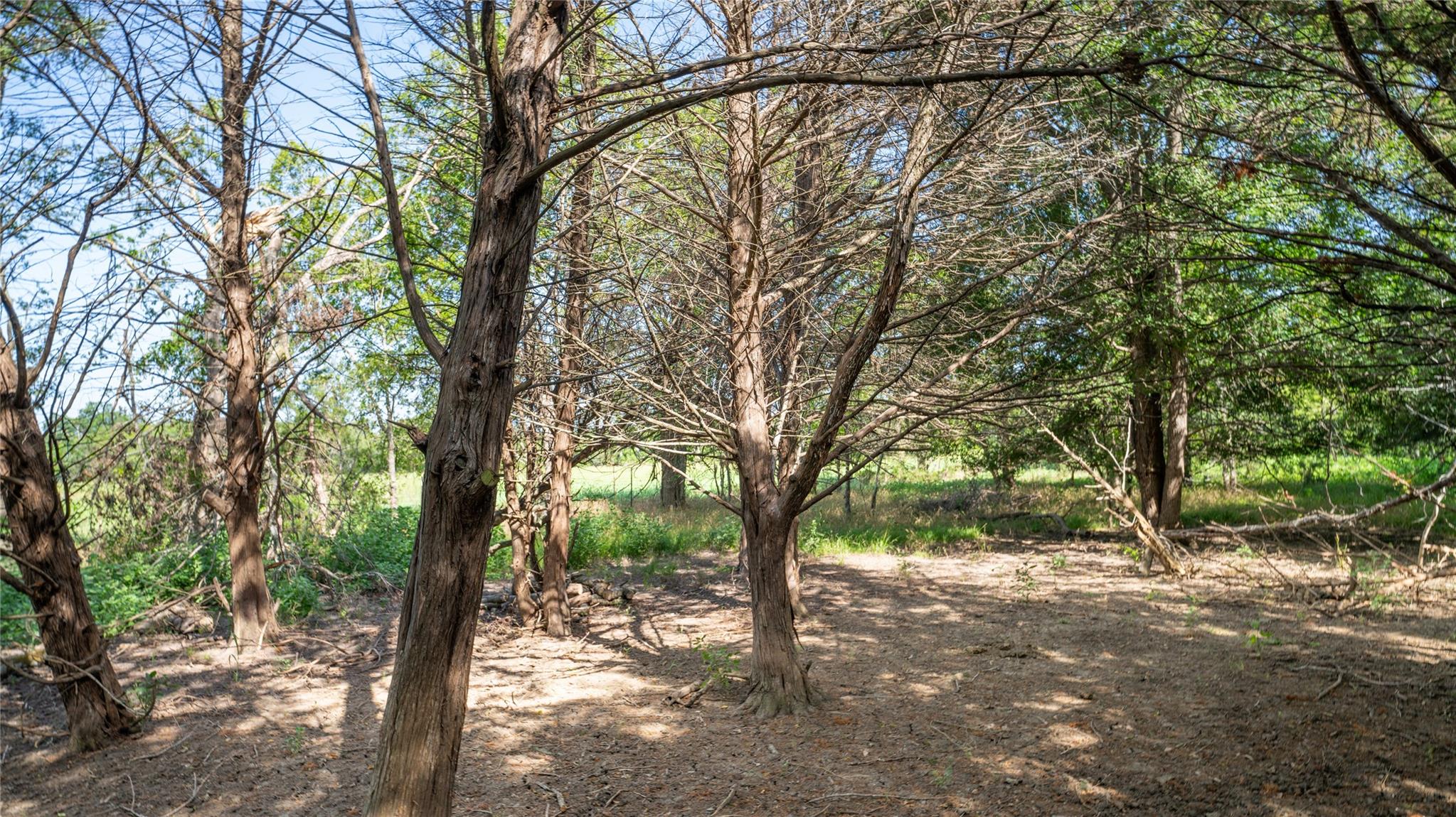 000 TBD, Cameron, TX 76511