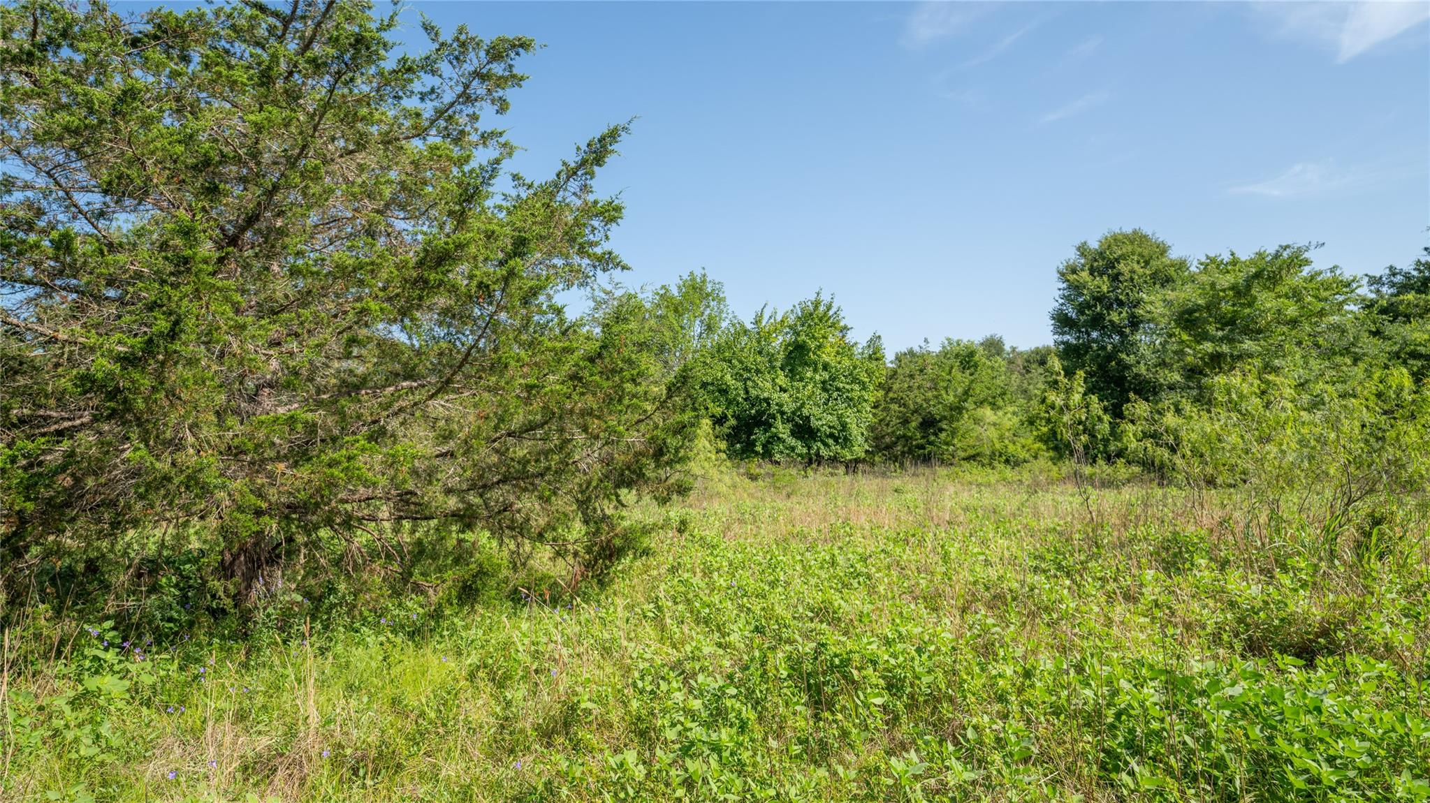 000 TBD, Cameron, TX 76511