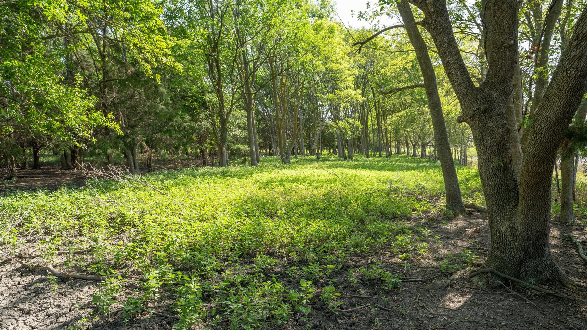 000 TBD, Cameron, TX 76511