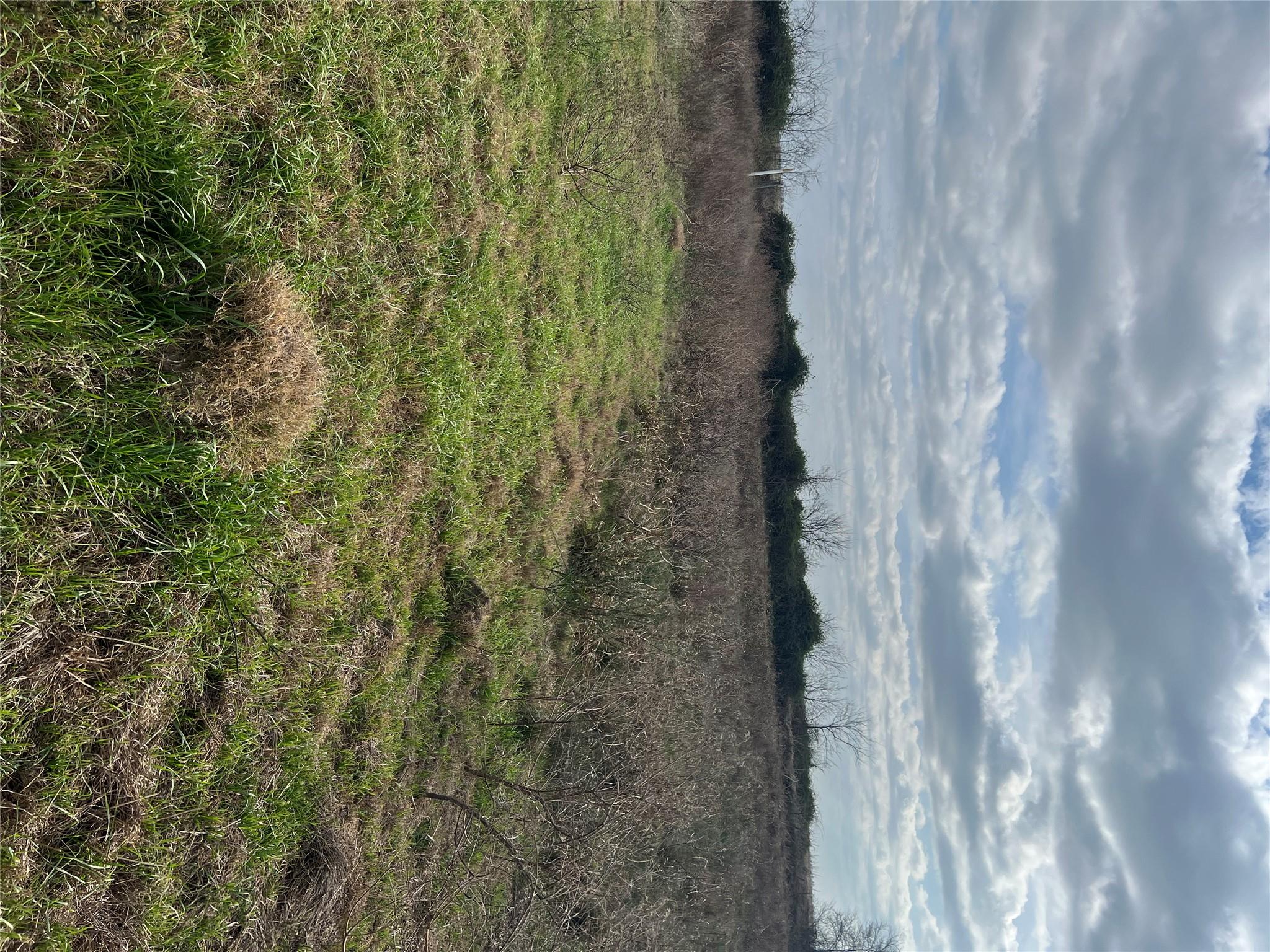 TBD lot 1 Beal Rd, Eagle Lake, TX 77434