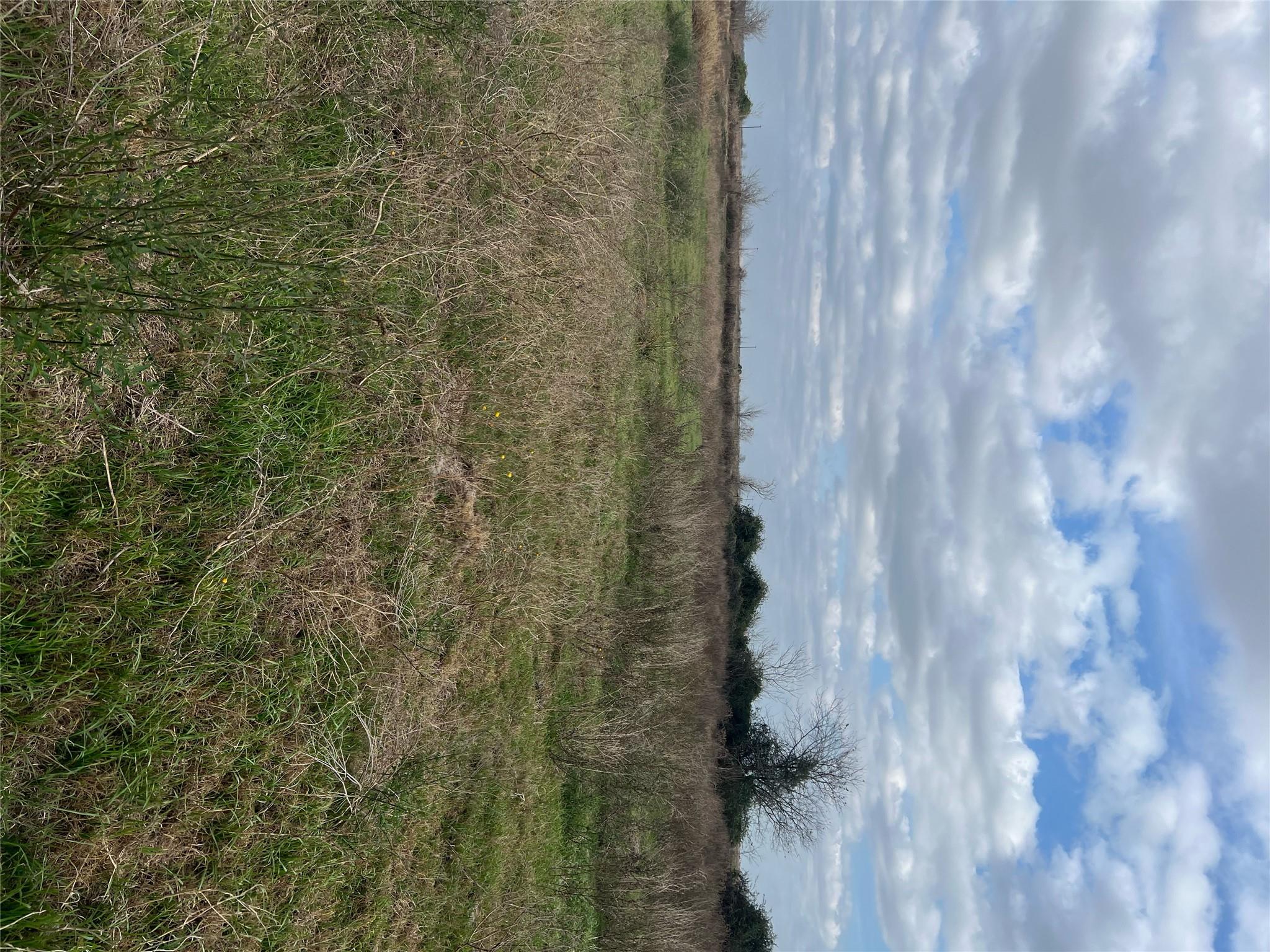 TBD lot 1 Beal Rd, Eagle Lake, TX 77434