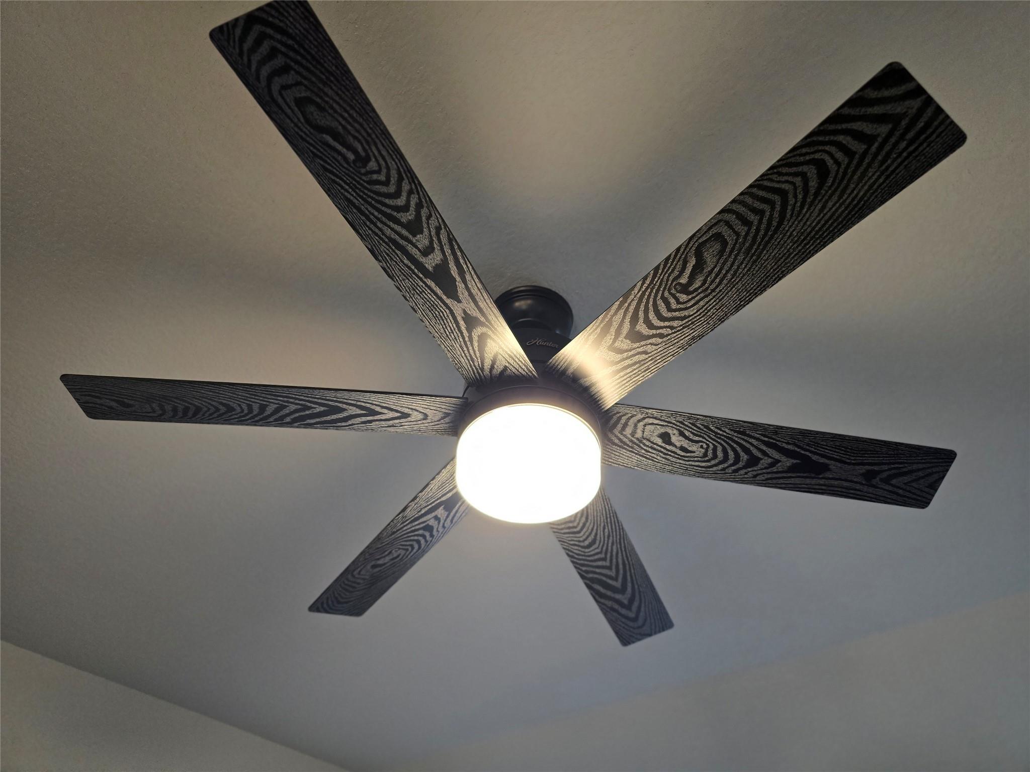 602D Pearly Eye Dr, Pflugerville, TX 78660