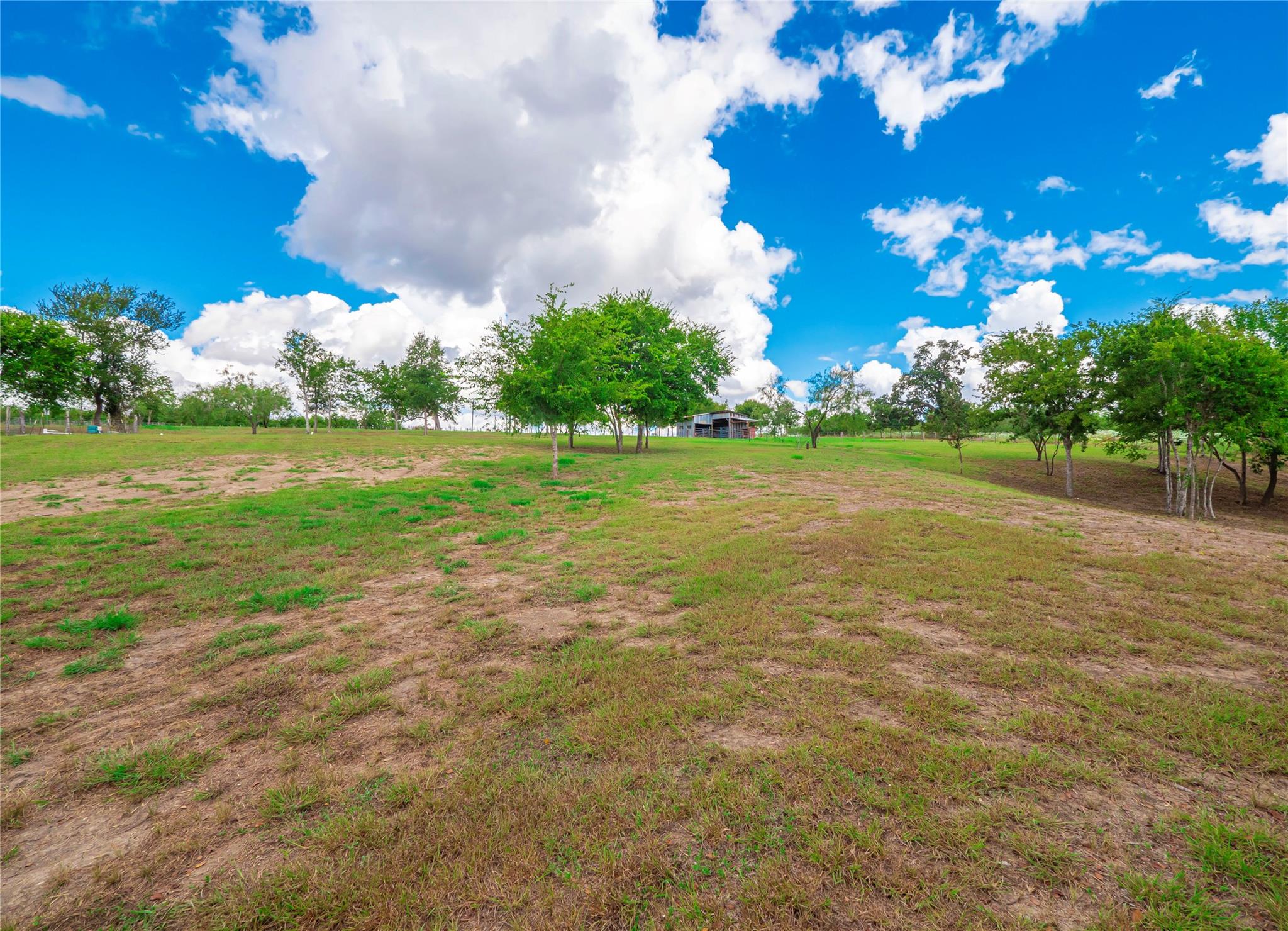 000 County Rd 429, Rockdale, TX 76567