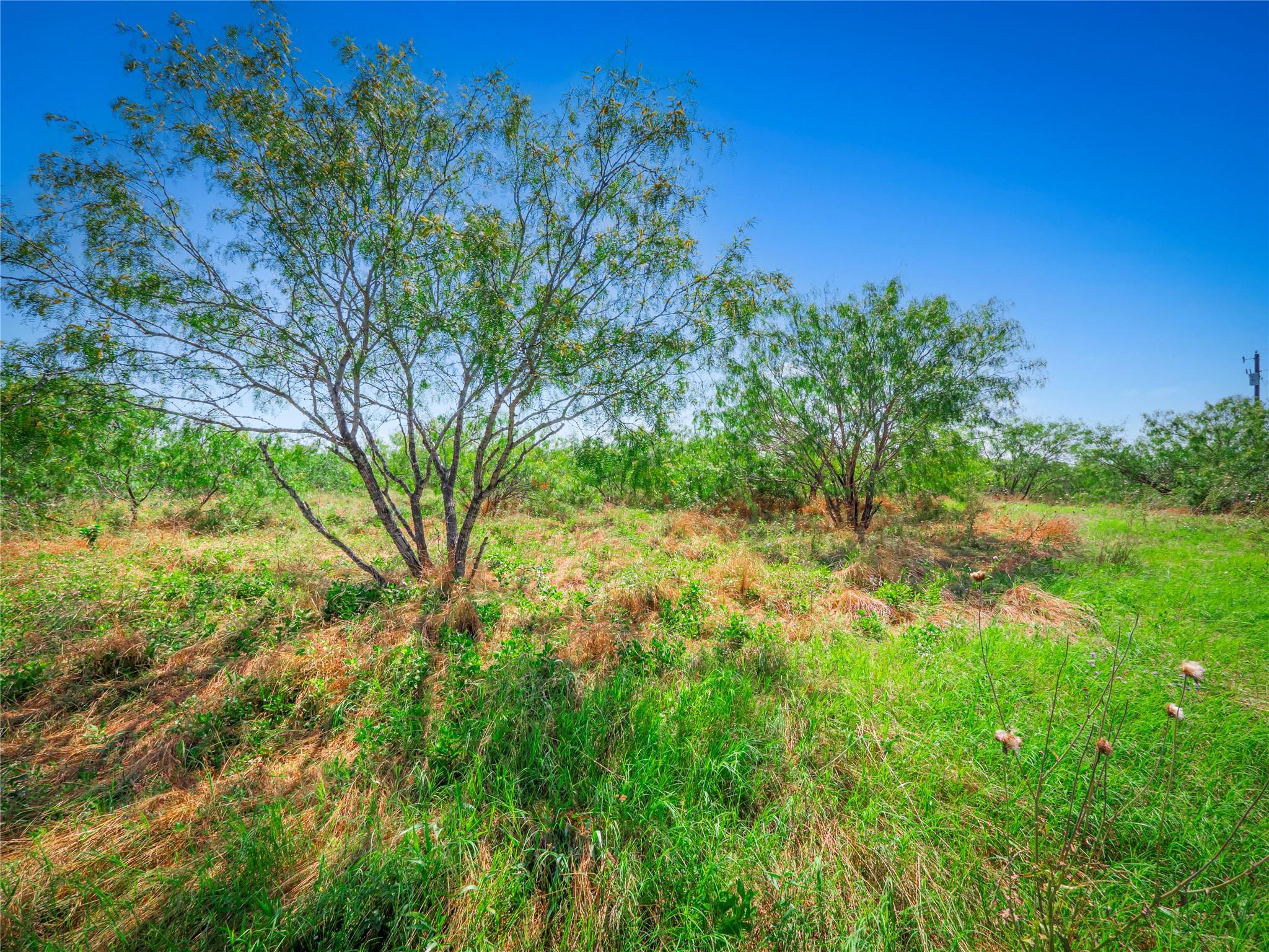 000 County Rd 429, Rockdale, TX 76567