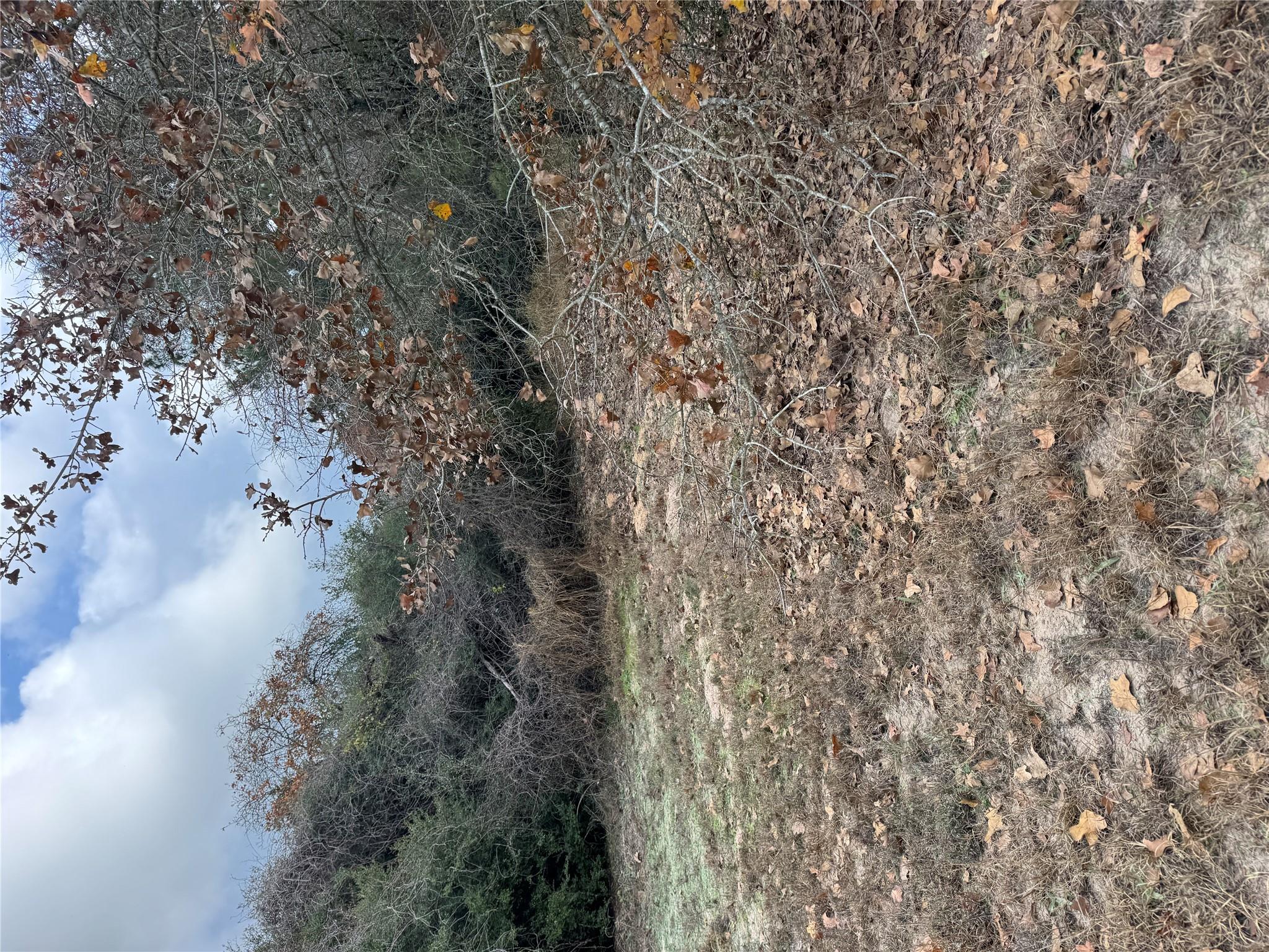 Lot 7 Cool Water Dr, Bastrop, TX 78602