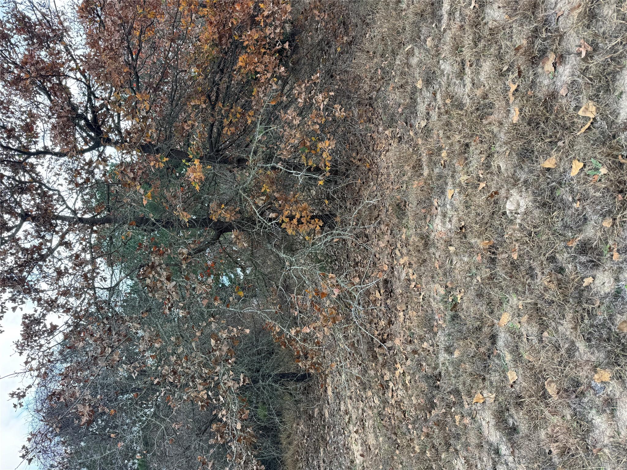 Lot 7 Cool Water Dr, Bastrop, TX 78602