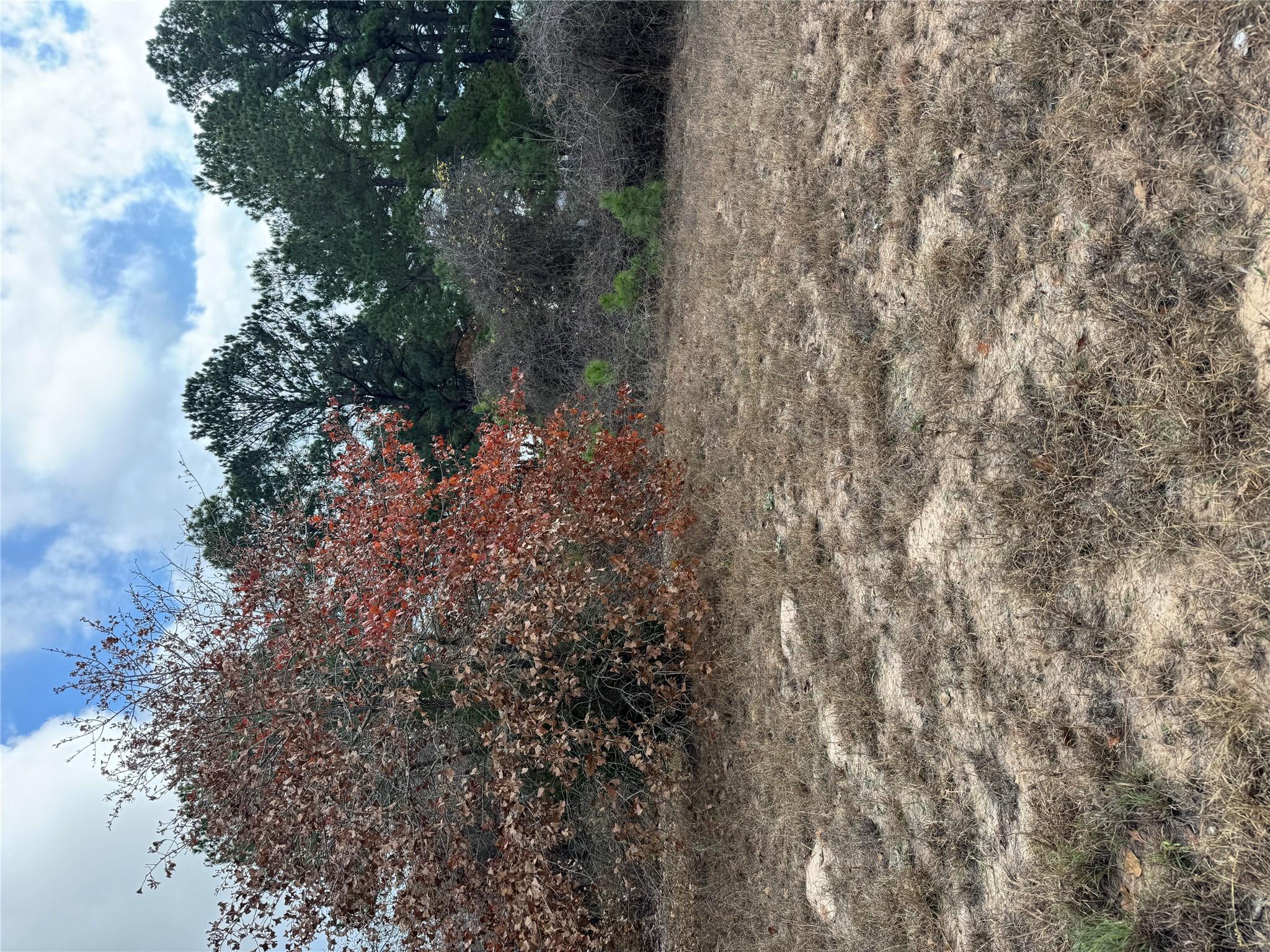 Lot 7 Cool Water Dr, Bastrop, TX 78602