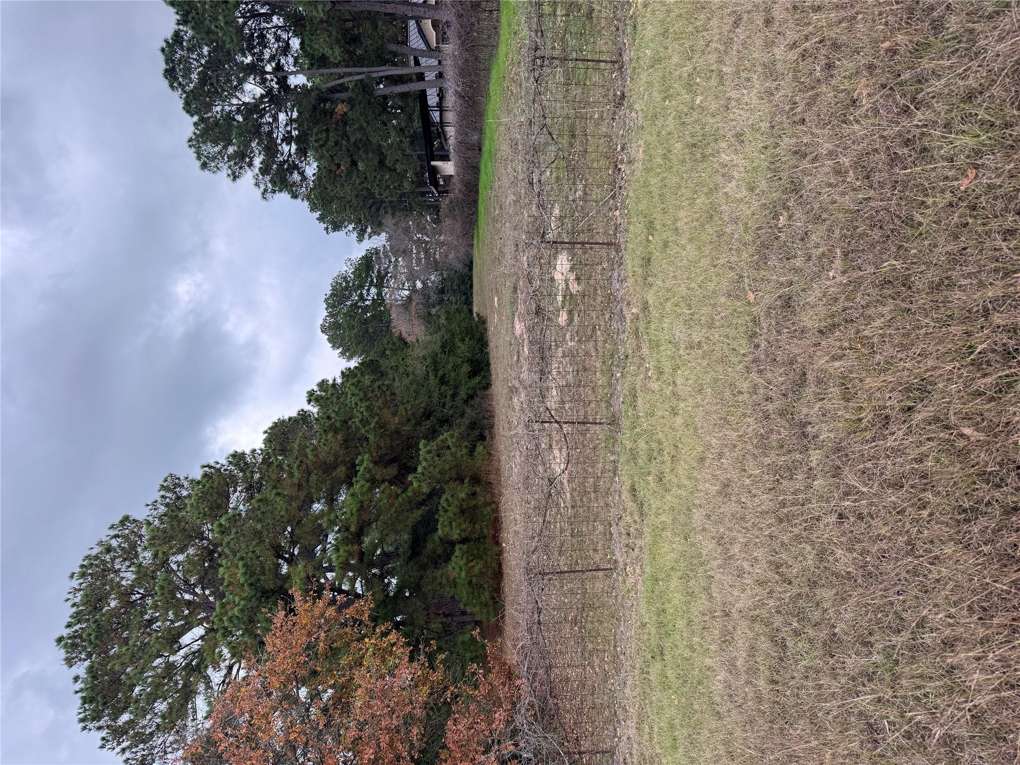 Lot 7 Cool Water Dr, Bastrop, TX 78602