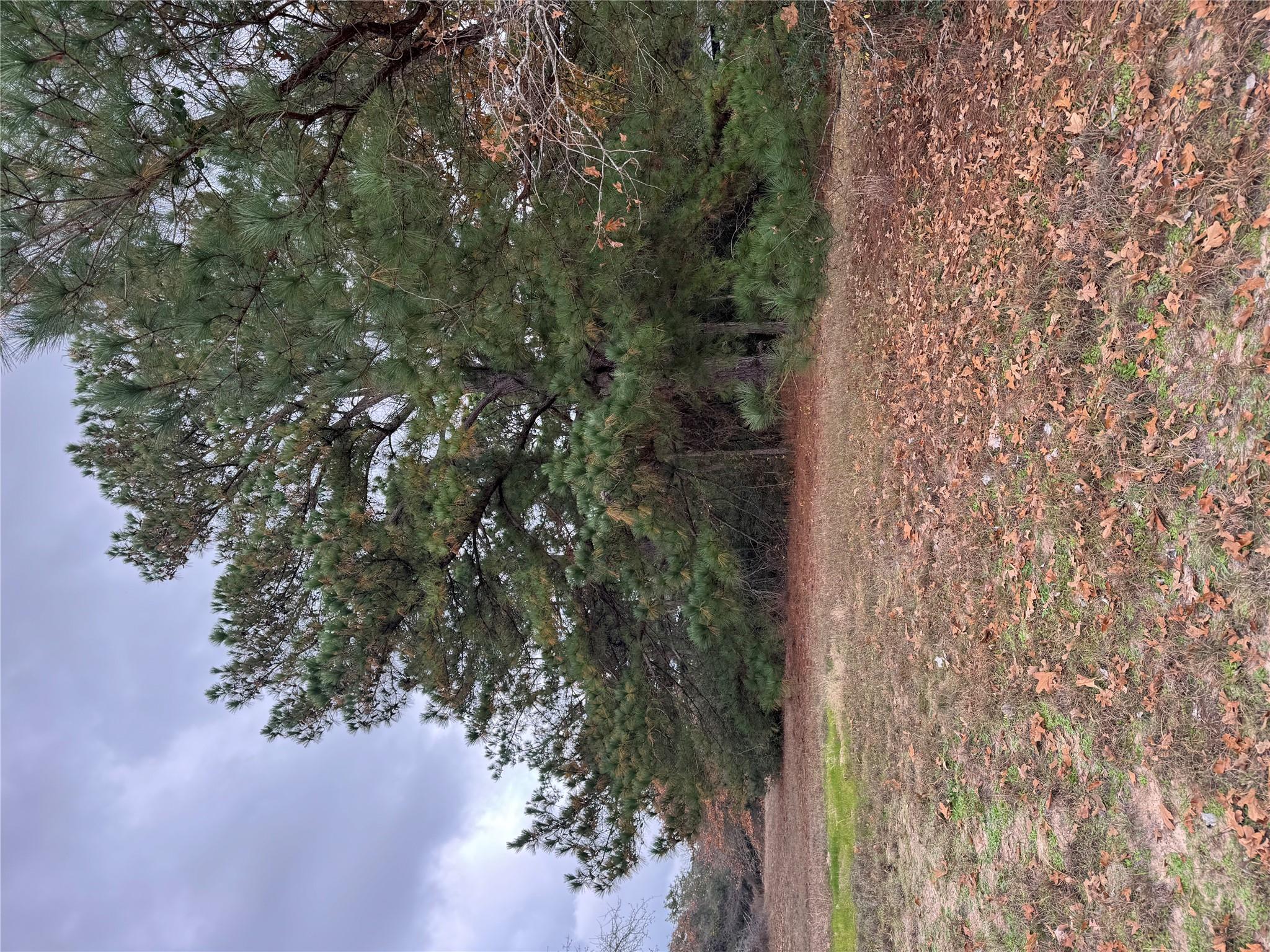 Lot 7 Cool Water Dr, Bastrop, TX 78602