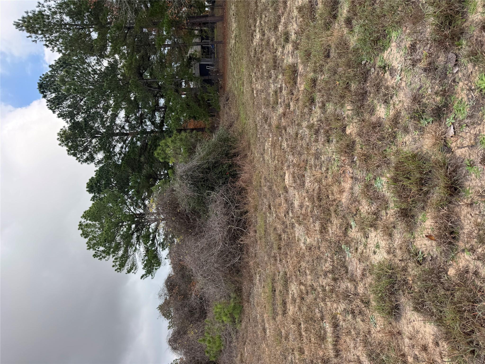 Lot 7 Cool Water Dr, Bastrop, TX 78602