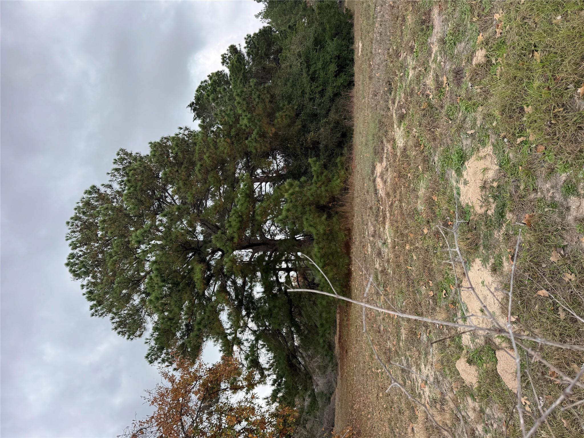 Lot 7 Cool Water Dr, Bastrop, TX 78602