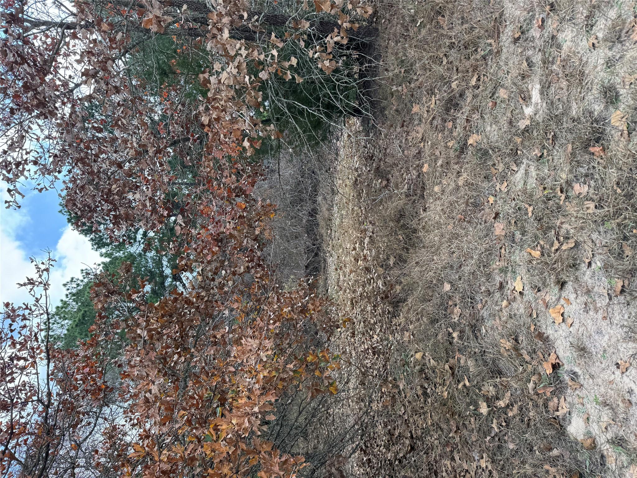 Lot 7 Cool Water Dr, Bastrop, TX 78602