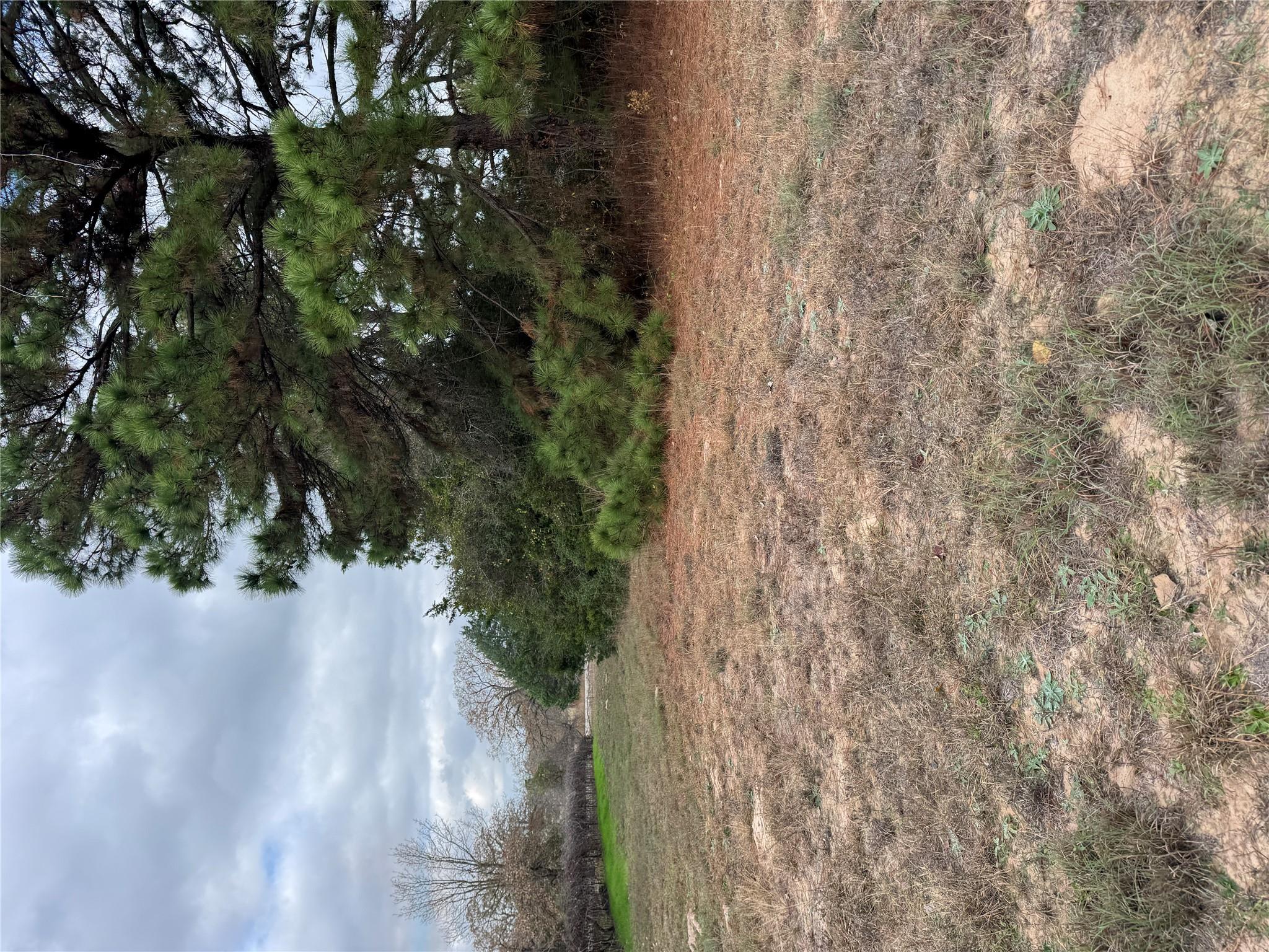 Lot 7 Cool Water Dr, Bastrop, TX 78602