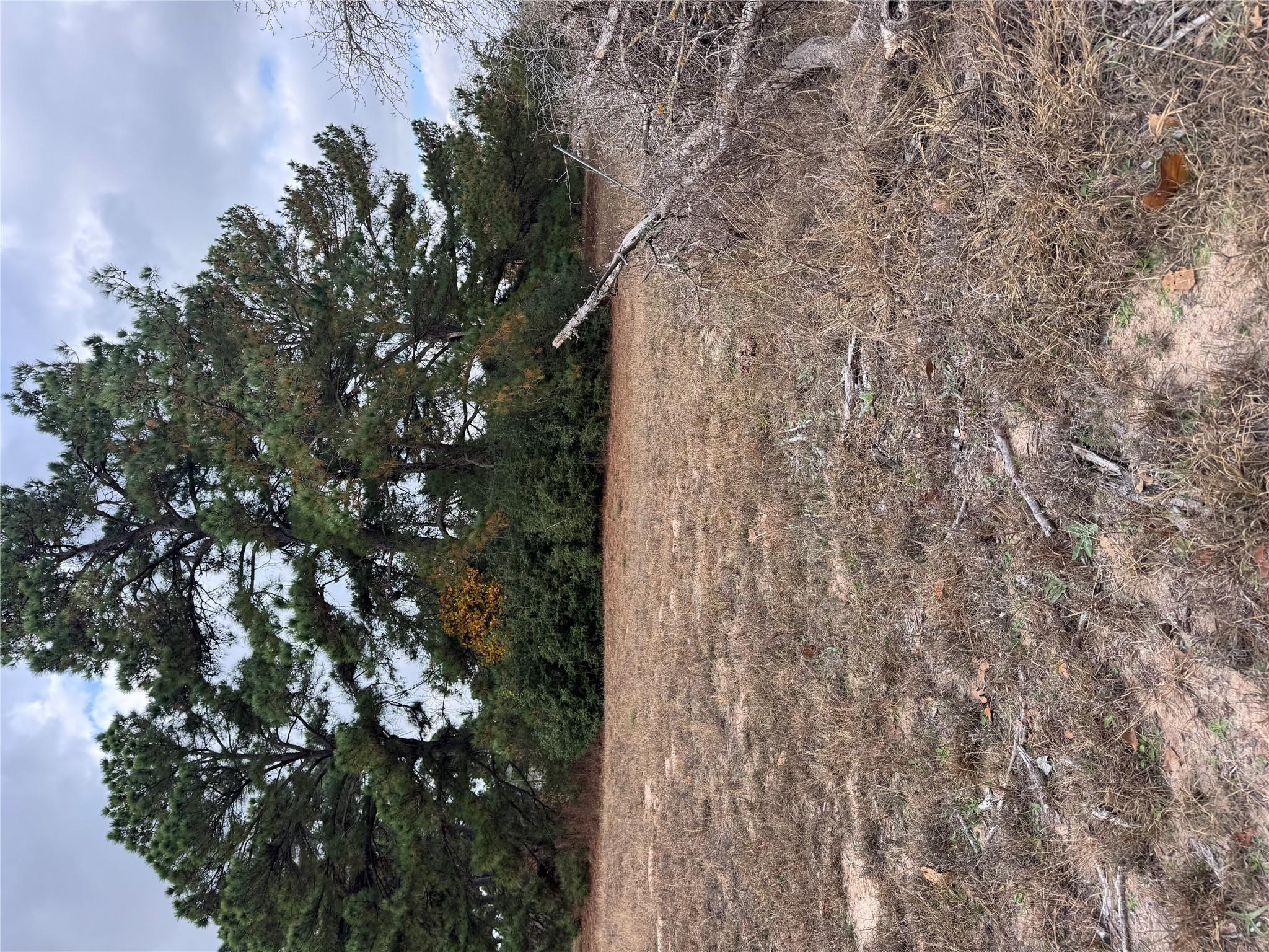 Lot 7 Cool Water Dr, Bastrop, TX 78602