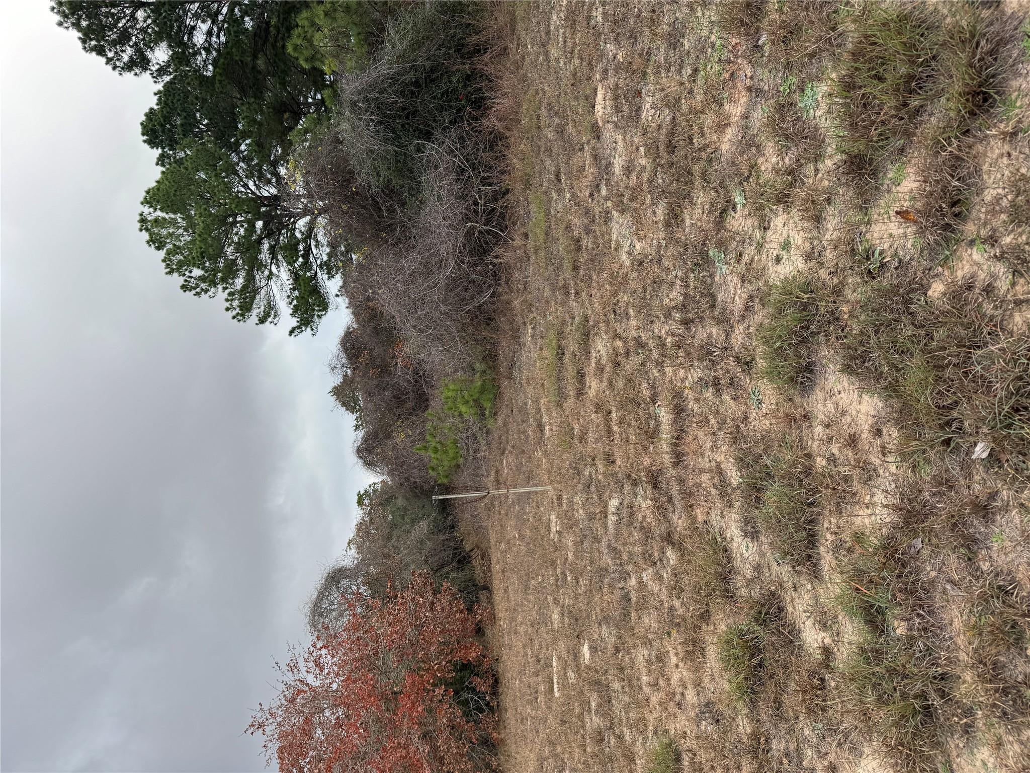 Lot 7 Cool Water Dr, Bastrop, TX 78602