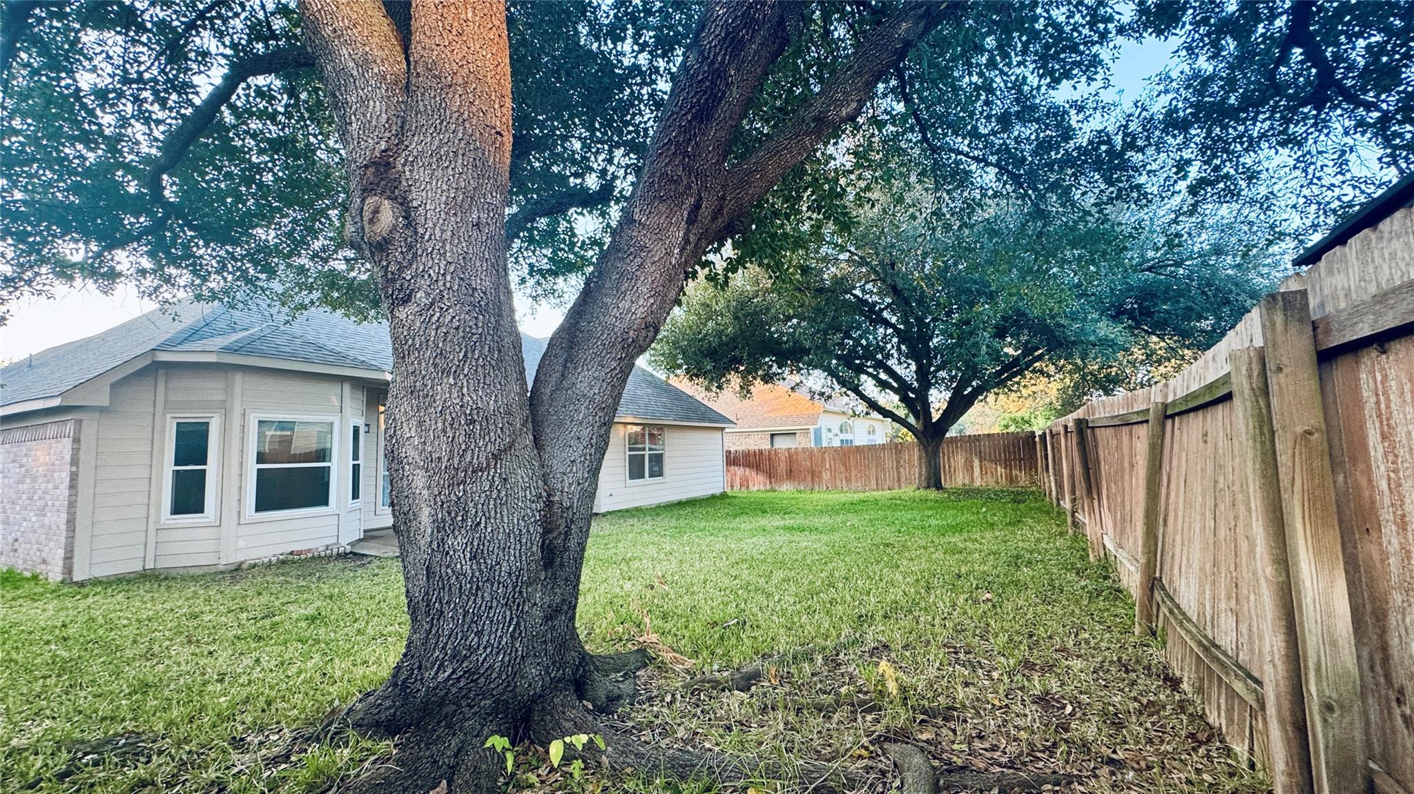 1505 Shady Hillside Pass, Round Rock, TX 78665