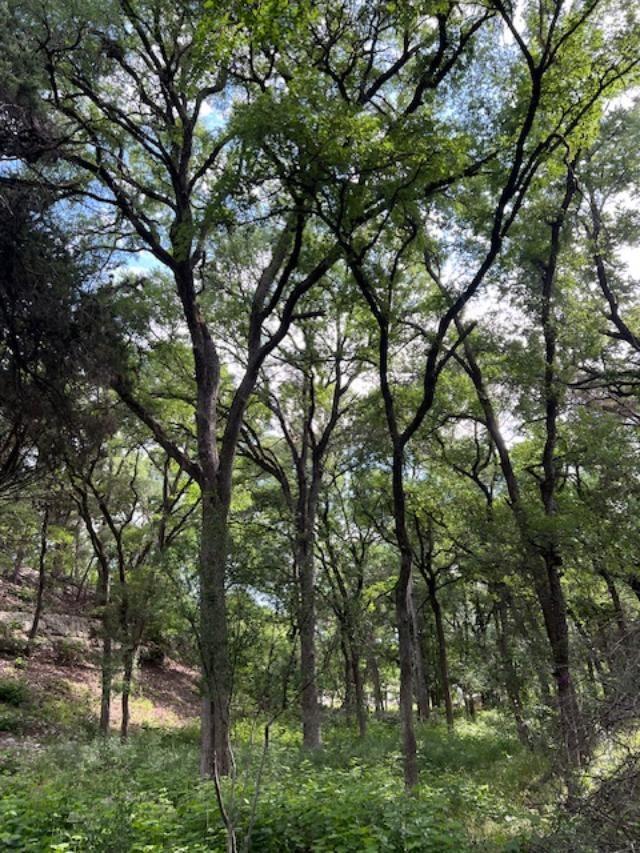 815 Riva Ridge Dr, Leander, TX 78641