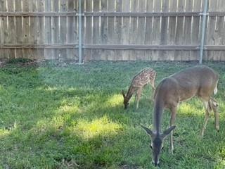 4159 Steck Ave # 148, Austin, TX 78759