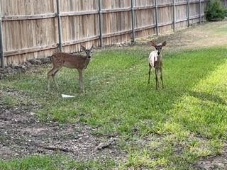 4159 Steck Ave # 148, Austin, TX 78759