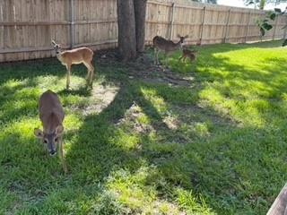 4159 Steck Ave # 148, Austin, TX 78759