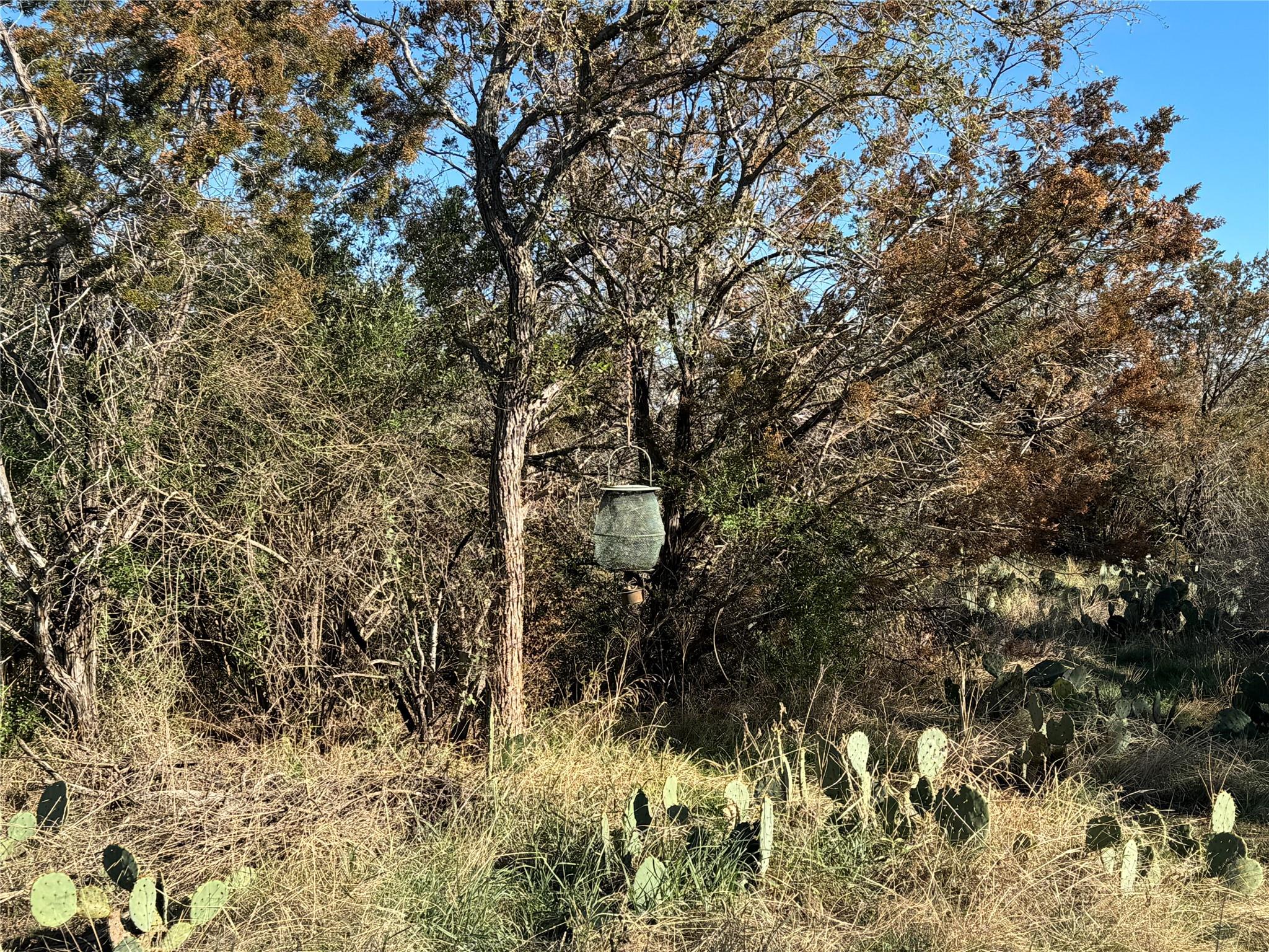 6939 FM 690, Burnet, TX 78611