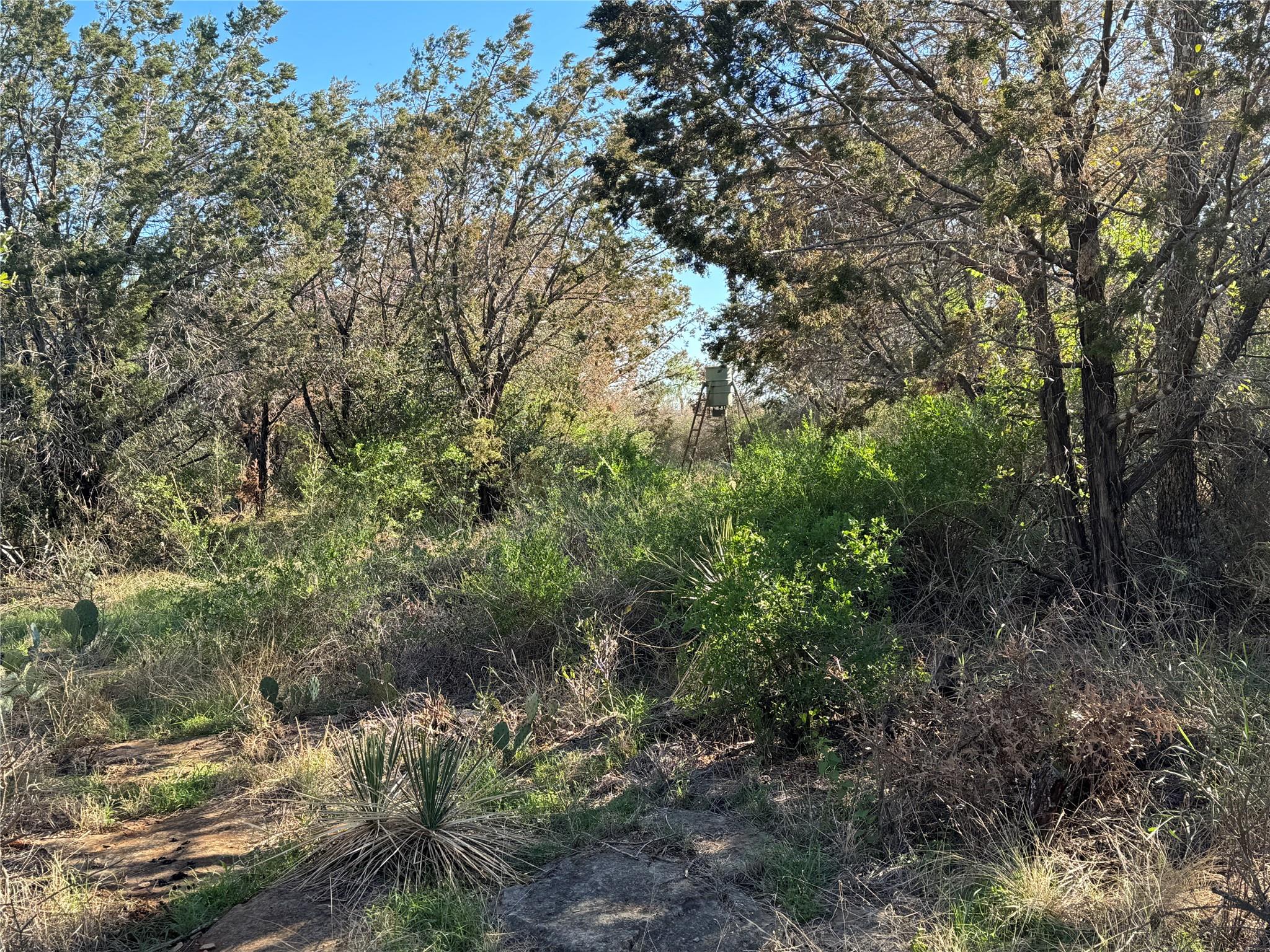 6939 FM 690, Burnet, TX 78611