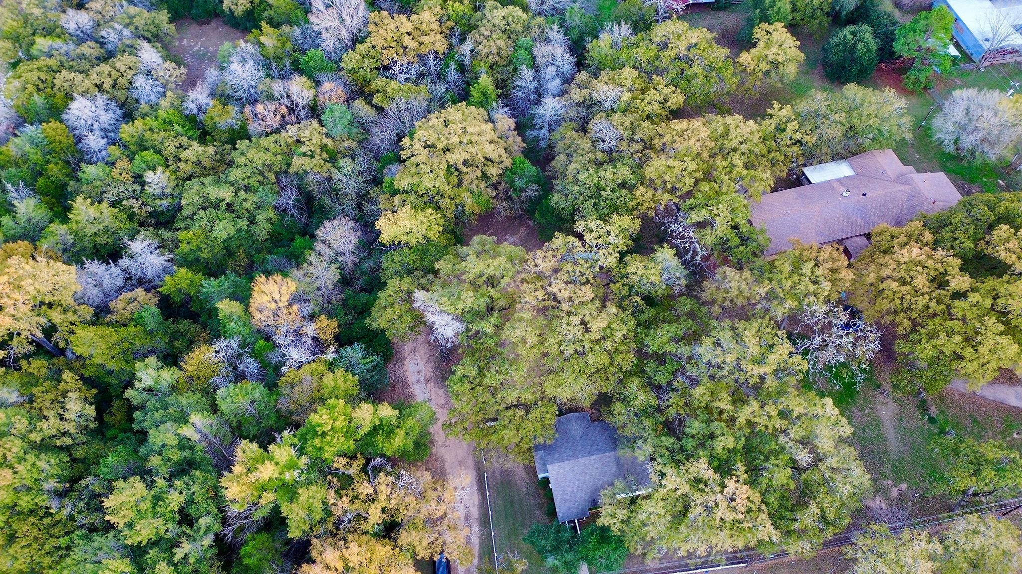 9278 N Highway 77 Highway, Lexington, TX 78947