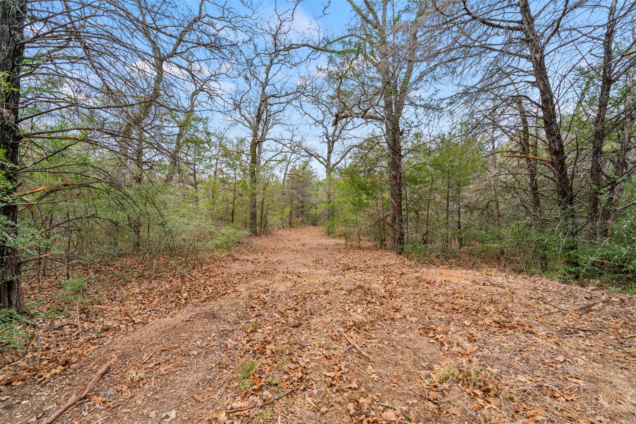 TBD County Road 330, Milano, TX 76556
