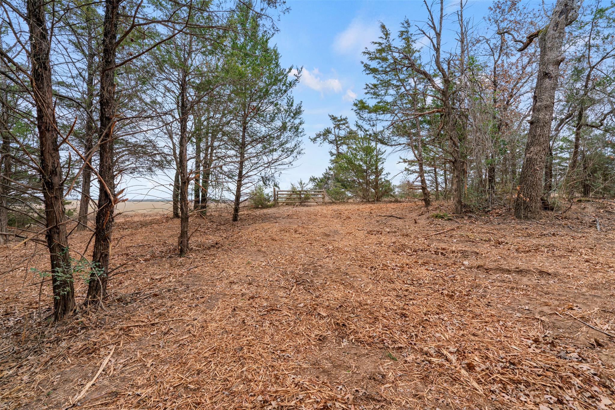 TBD County Road 330, Milano, TX 76556