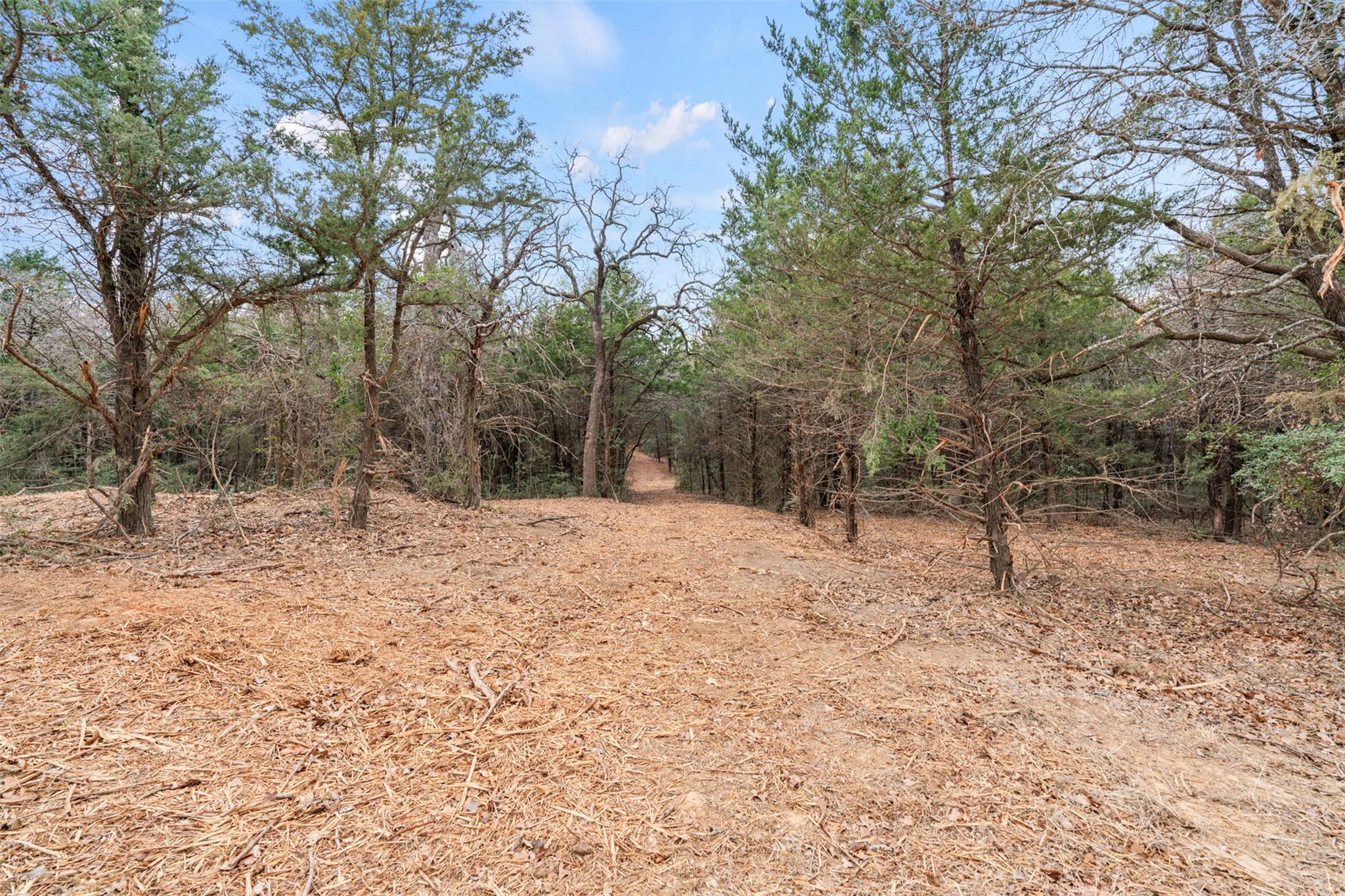 TBD County Road 330, Milano, TX 76556