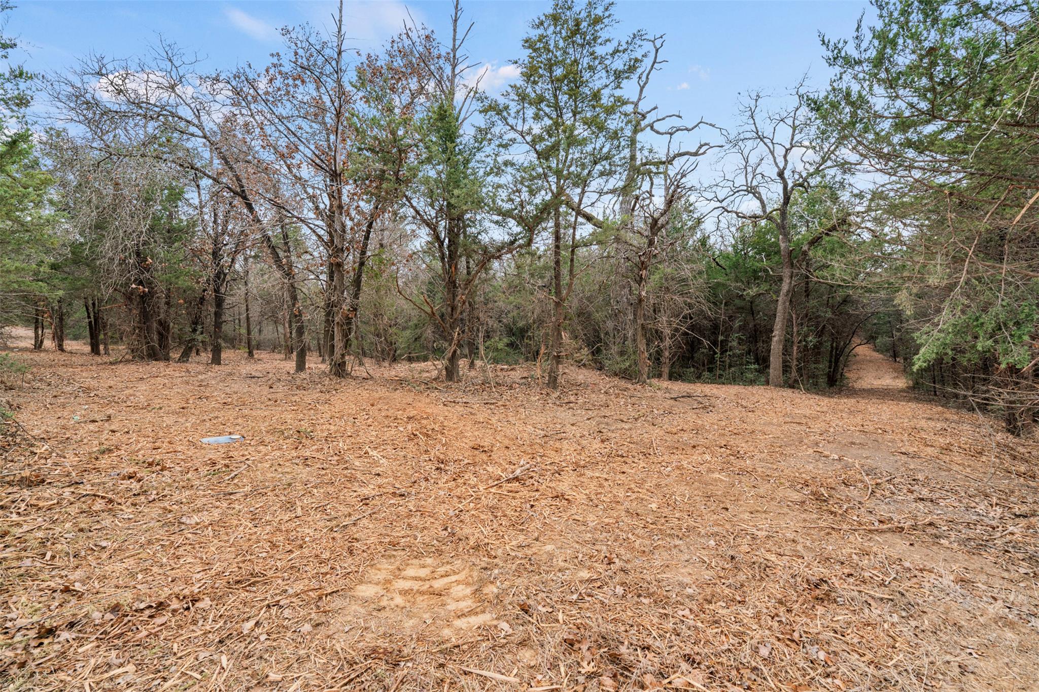 TBD County Road 330, Milano, TX 76556