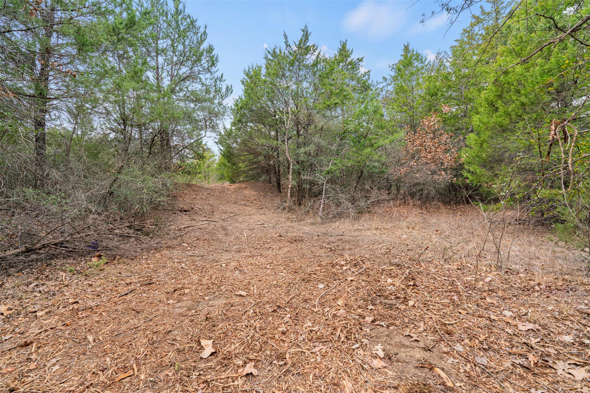 TBD County Road 330, Milano, TX 76556