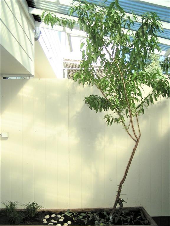 6627 Valleyside Rd, Austin, TX 78731