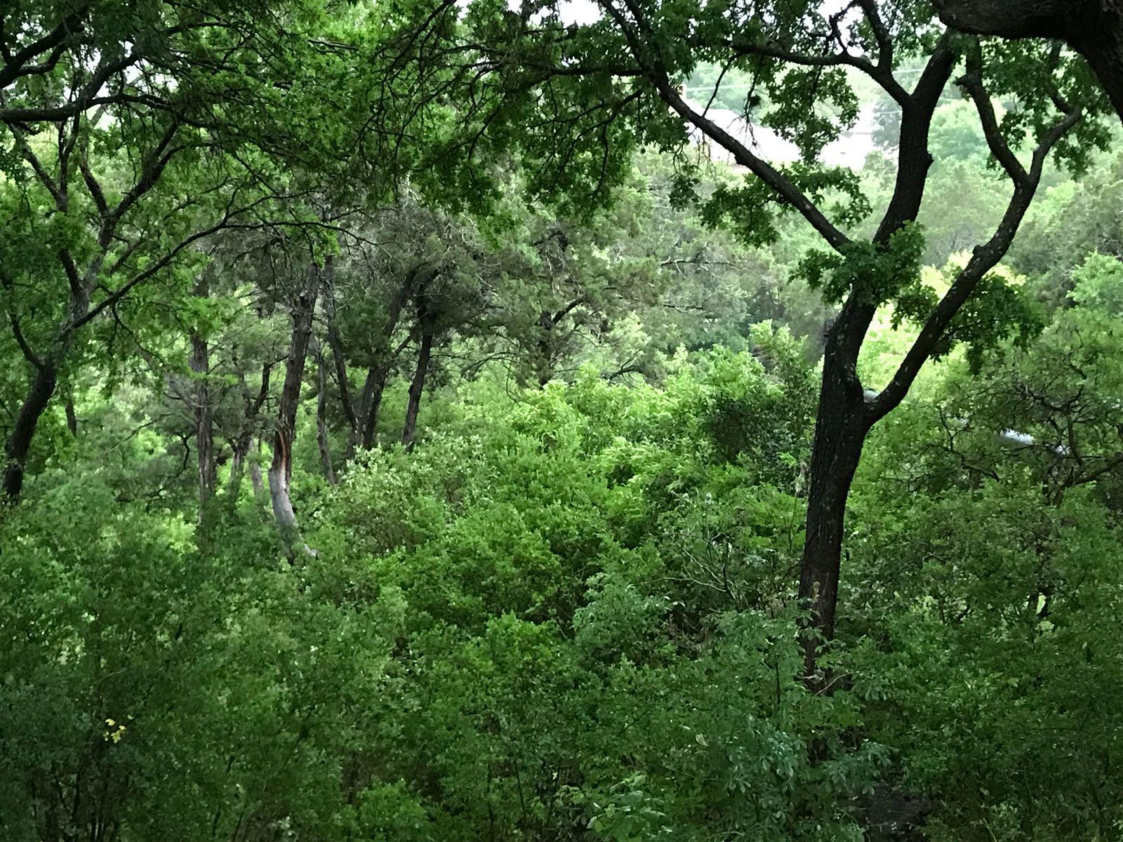 338 Sailmaster St, Lakeway, TX 78734