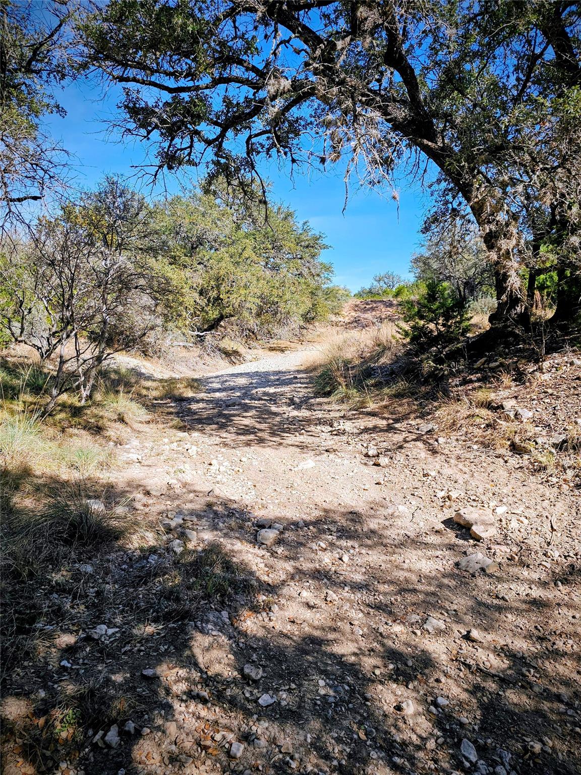 4462 Cr 390, Rocksprings, TX 78828